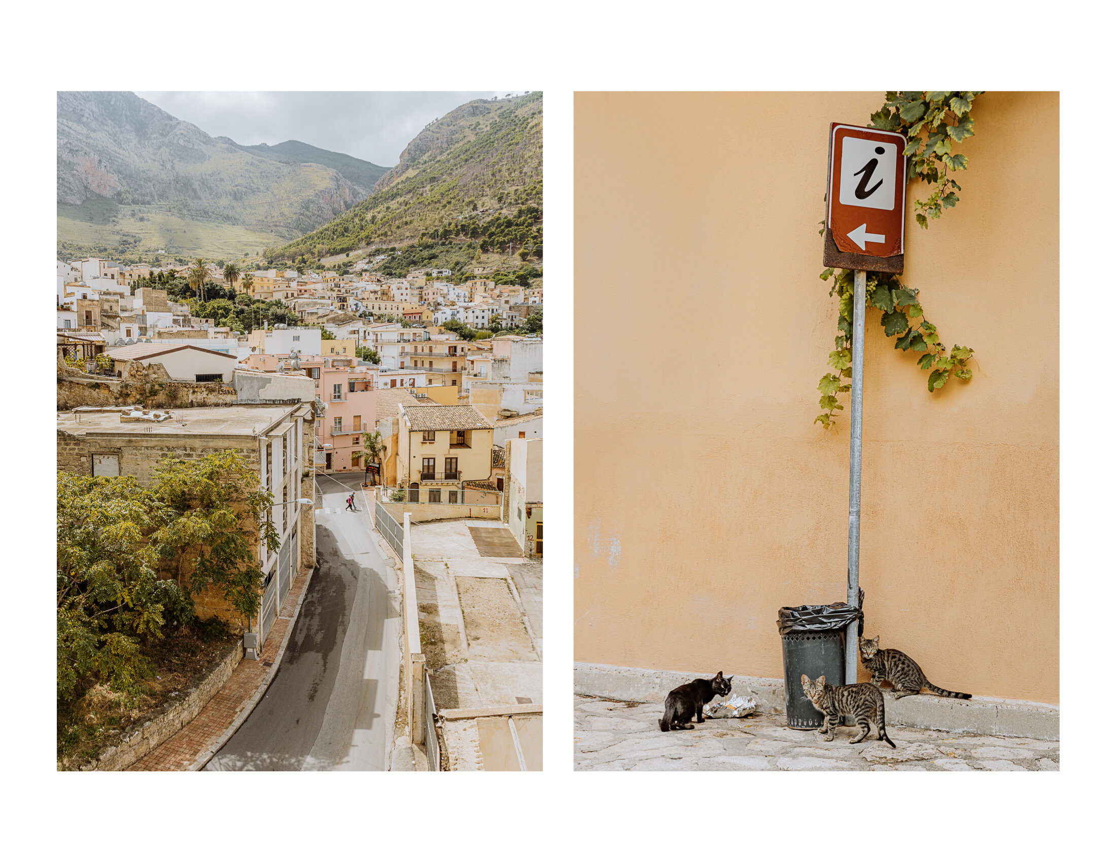Sicily_Travel_Diptych_Kitties.jpg