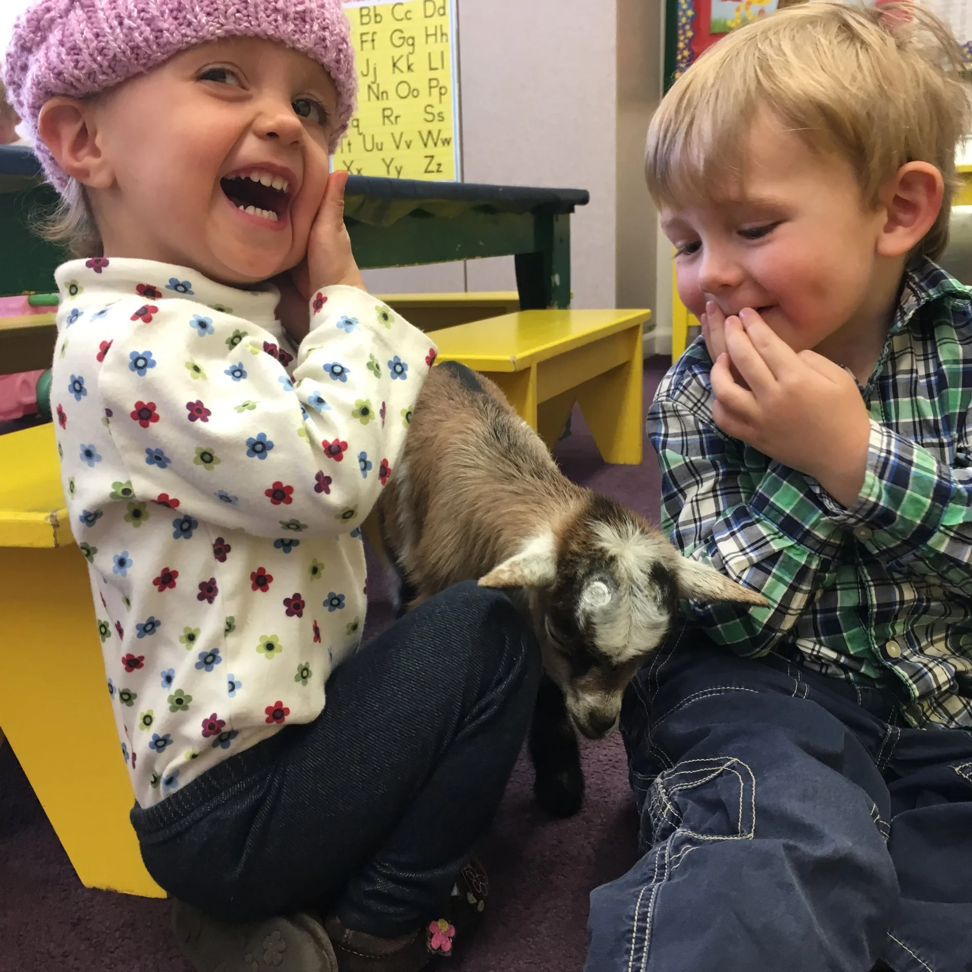 Social Justice · Heifer International