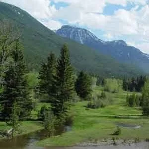 Camp Mimanagish beside the singing waters of the Boulder River.