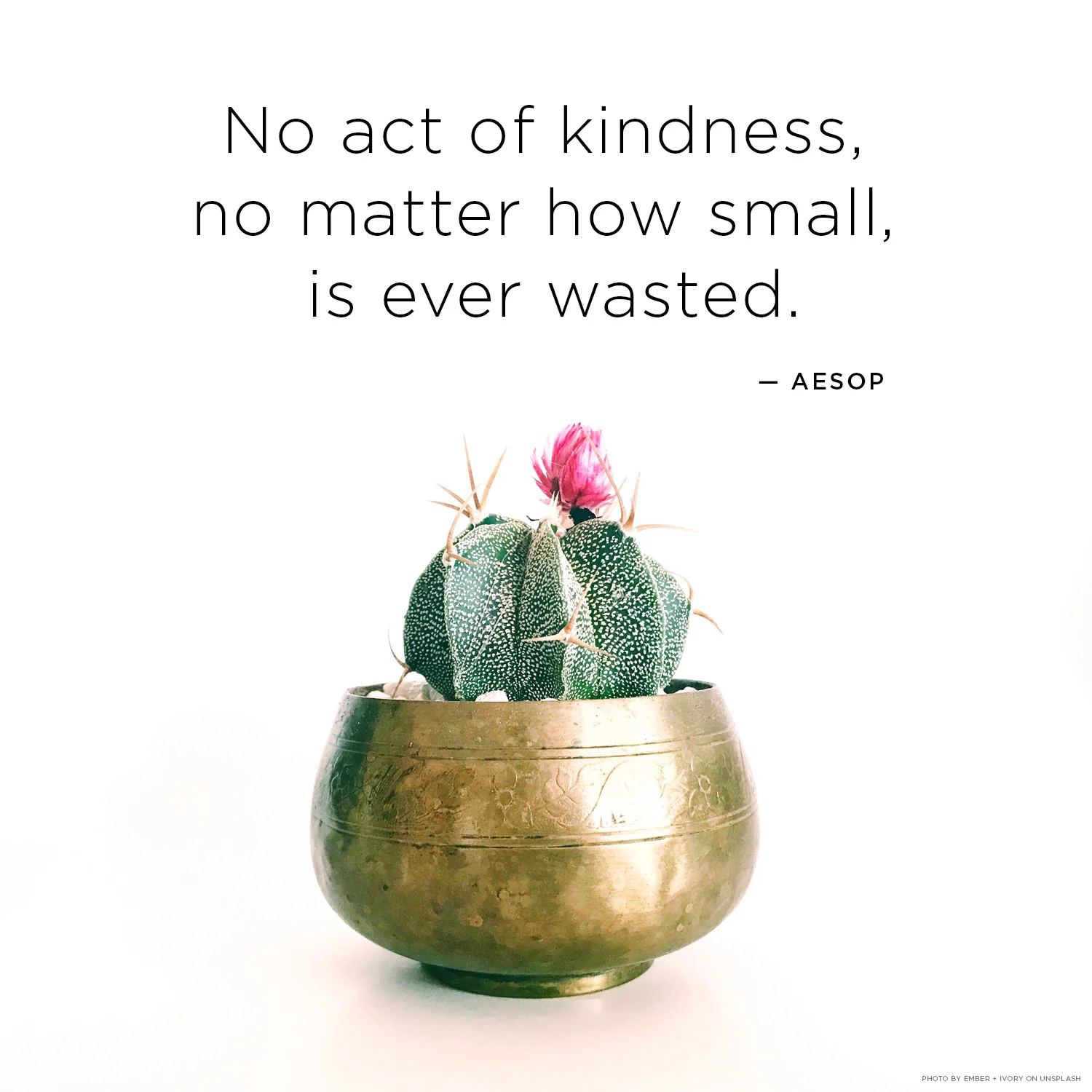 No act of kindness, no matter how small, is ever wasted. —Aesop