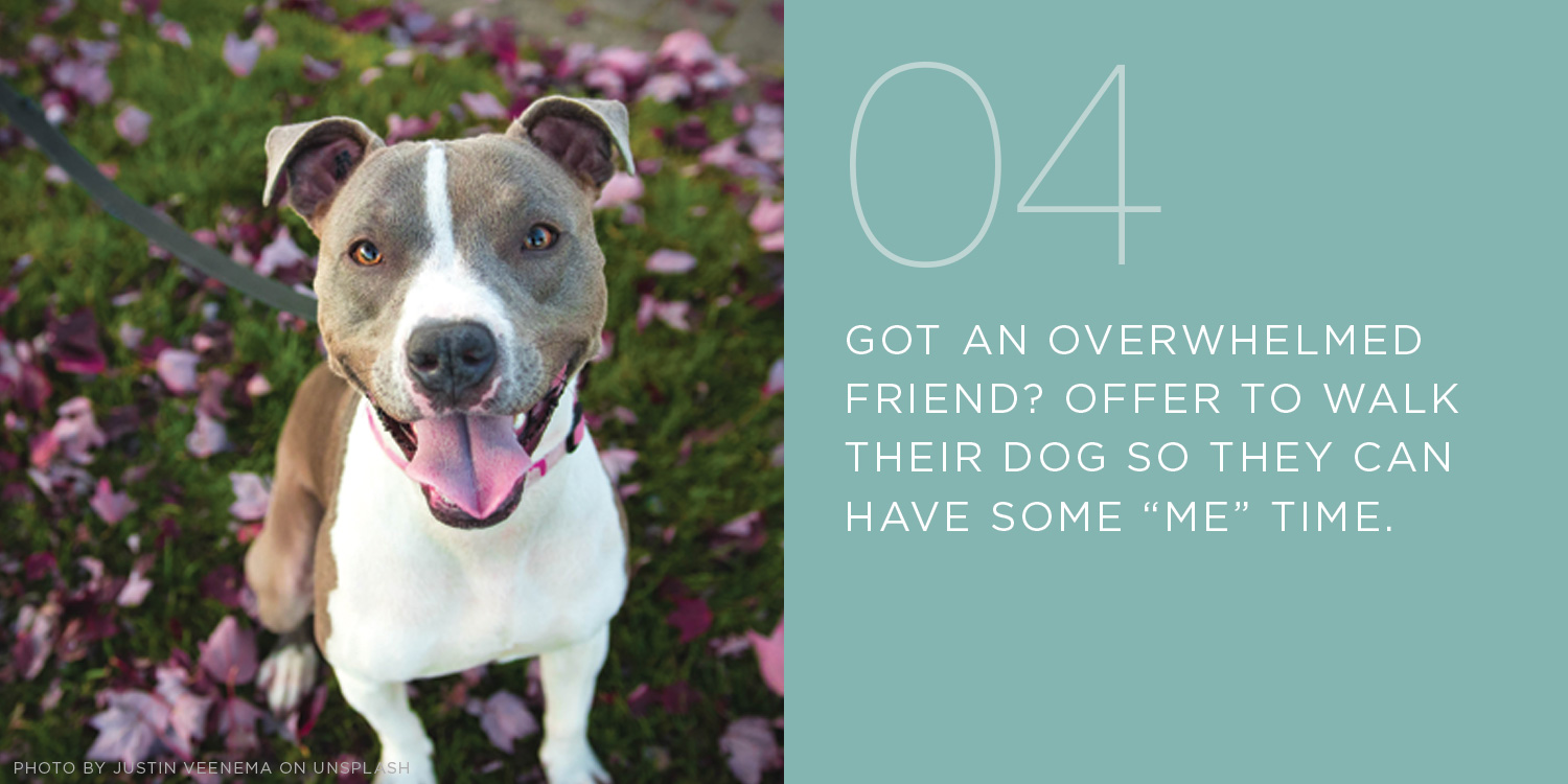 overwhelmed friend, walk their dog, random act of kindness