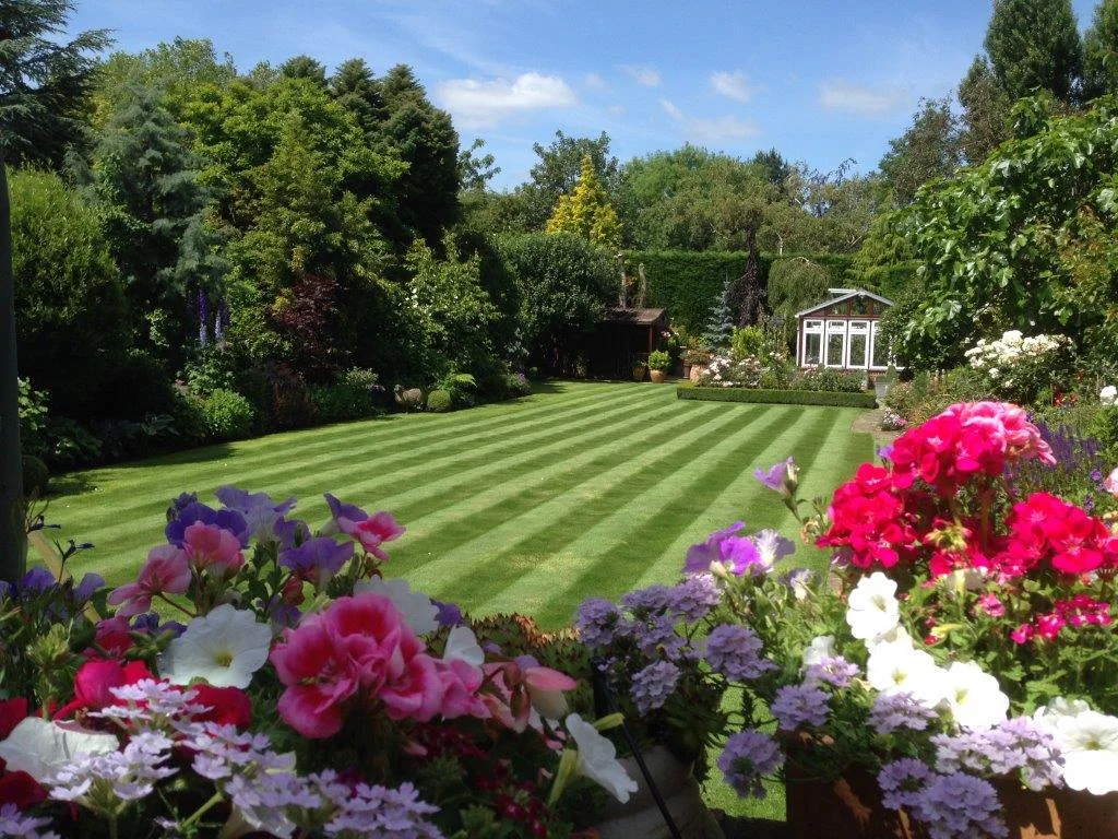 JONES CLOSE UP BEDDING AND LAWN.jpg