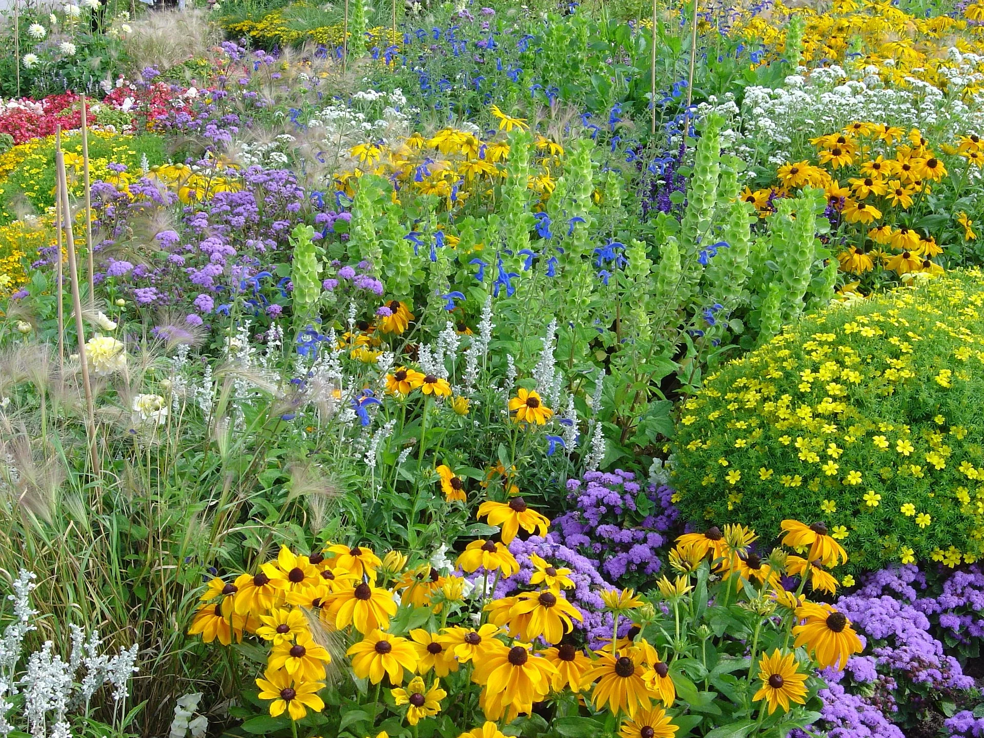 350x263x350x263xflowers-260202_1920.jpg_pagespeed_ic_psfg2ZeCiX.jpg.pagespeed.ic.psfg2ZeCiX.jpg