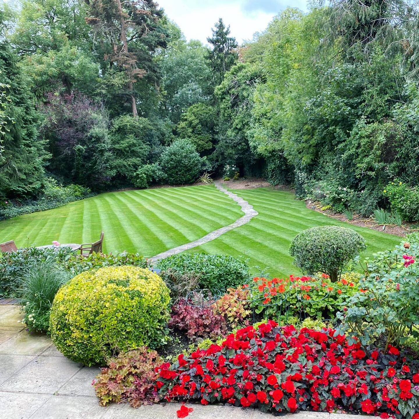 Maintenance job yesterday looking amazing, and lawn stripes adding classy detail 👌 
-
-
-
-
- 

#wow #garden #summer #londongarden #plants #trees #landscaping #gardening #gardenservices #colourful #vibrant #happy #nature #haven #stunning #greenspace