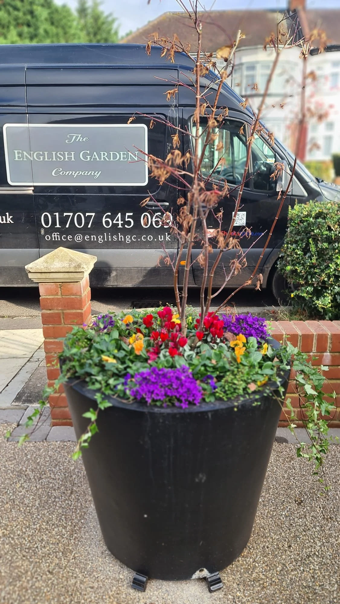 Plants with van.jpeg