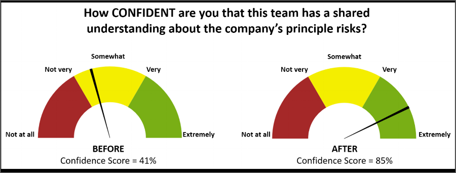 Figure 1: In a recent client situation the risk identification process enabled the newly formed senior management team to execute with much more confidence in the early days of their merger.