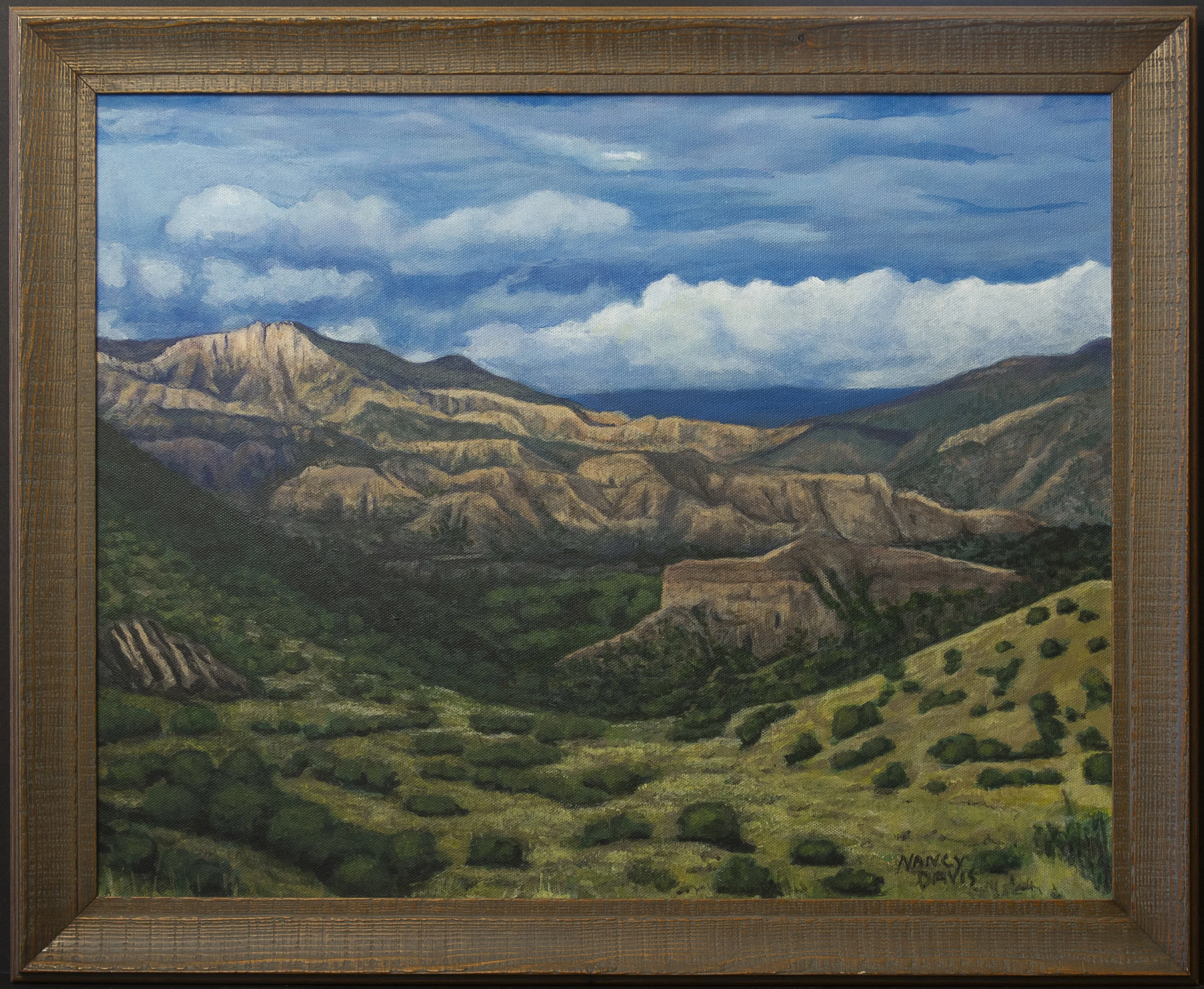 Above the Bosque.