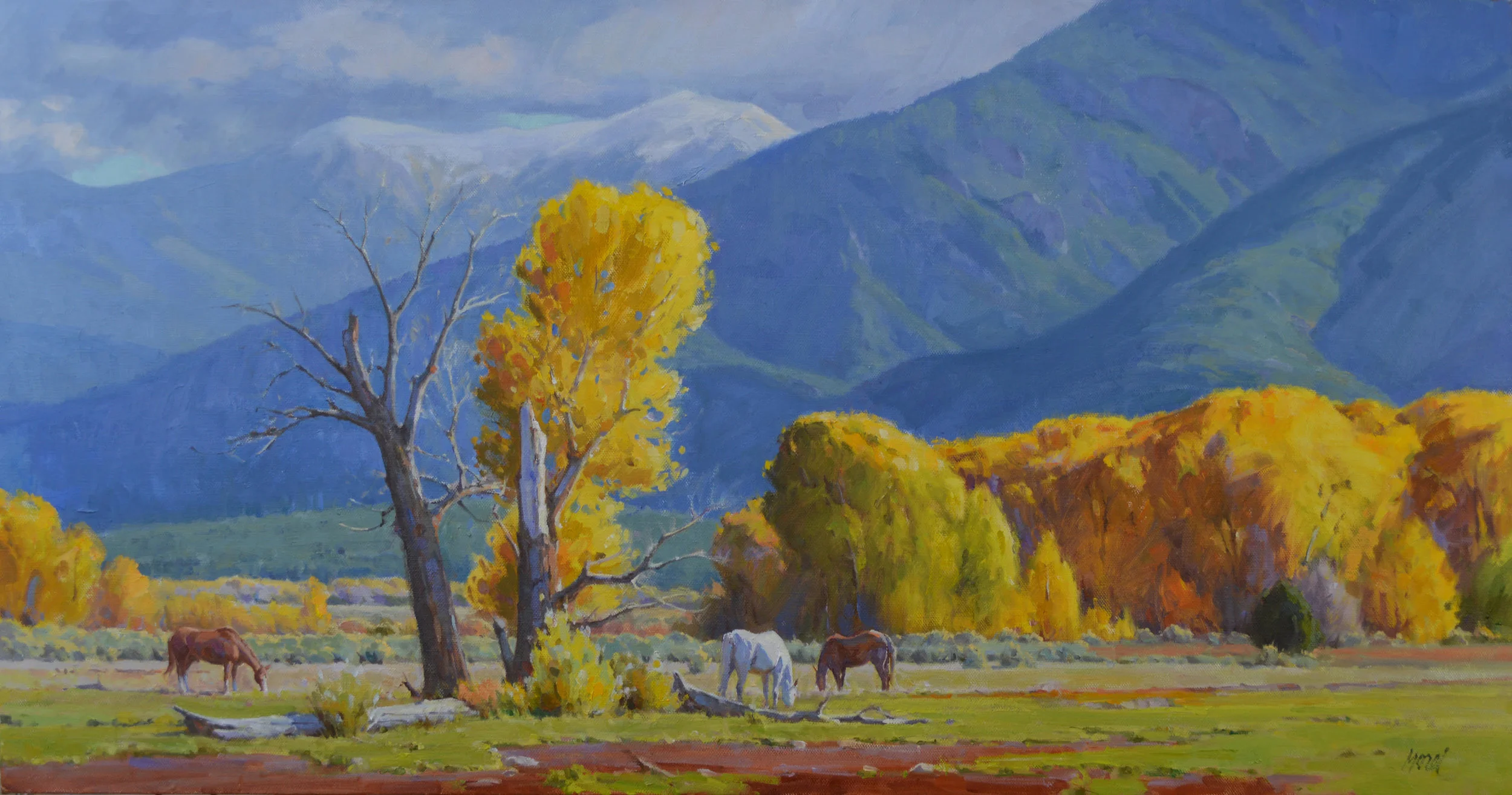 ‘Across the Pueblo’ 24” x 46” Oil on Linen