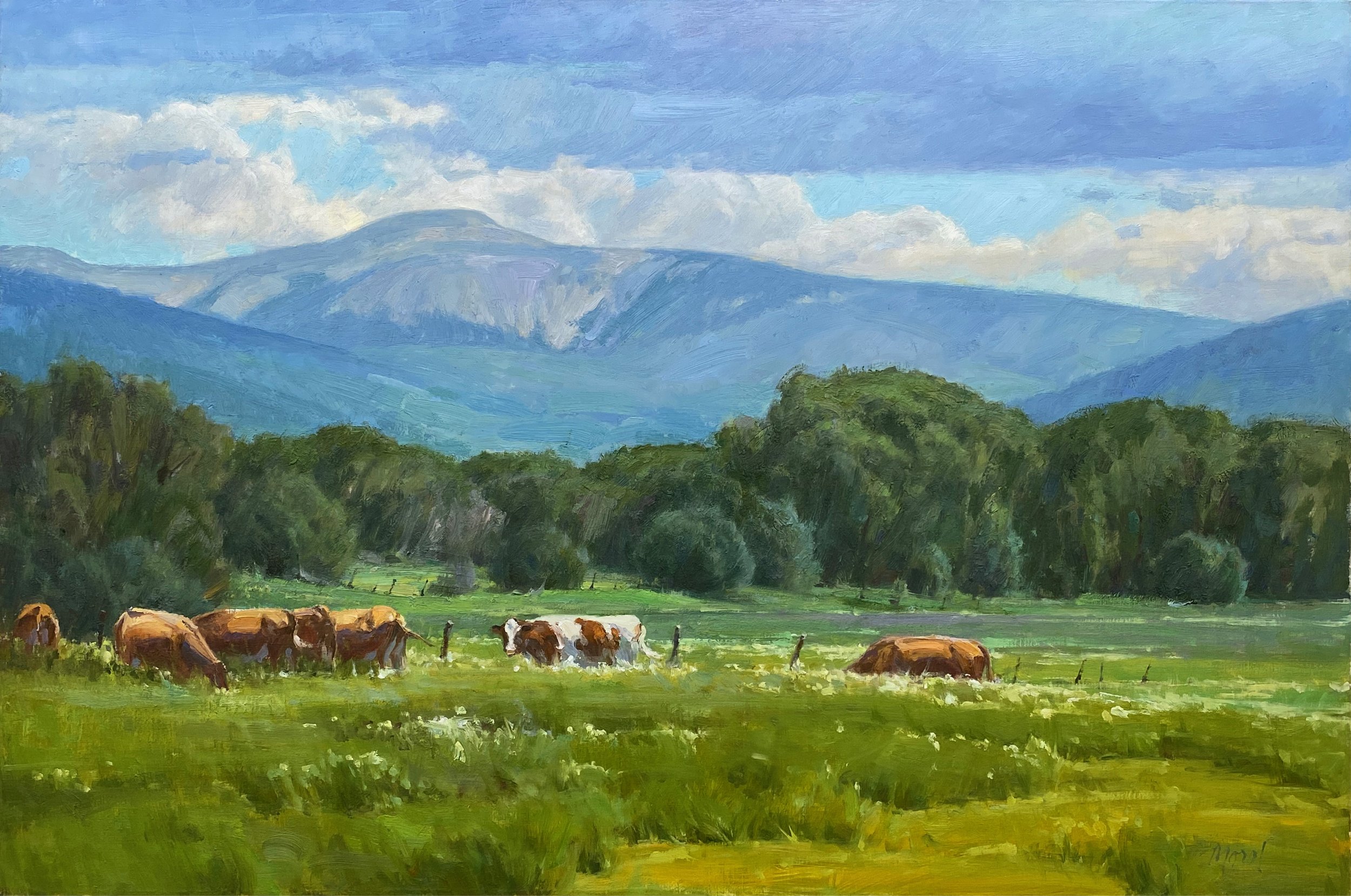 Jicarita Valley July 2025.jpg