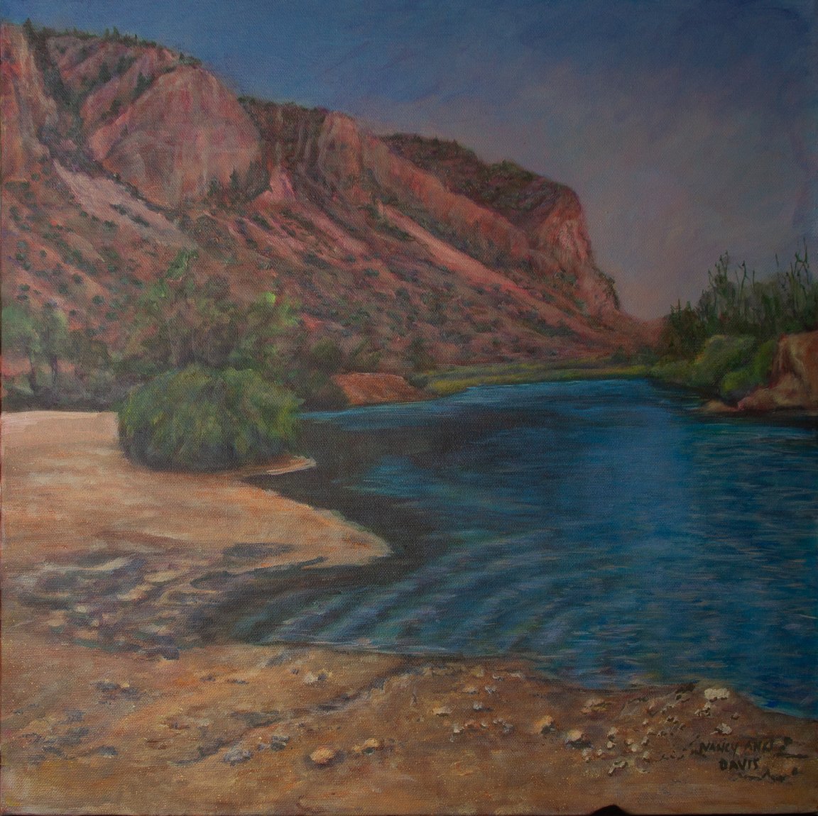 Nancy Davis Image 7.jpg