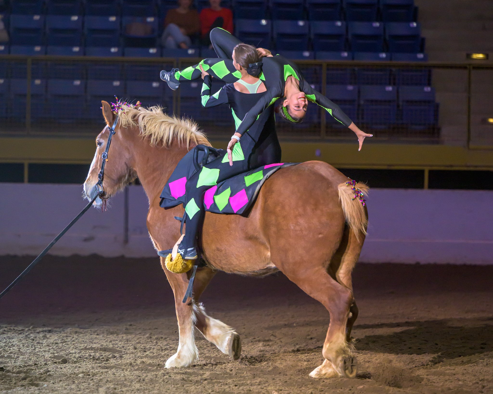 2022 Annual Show from David Kirstein Circus Horse (great).jpg