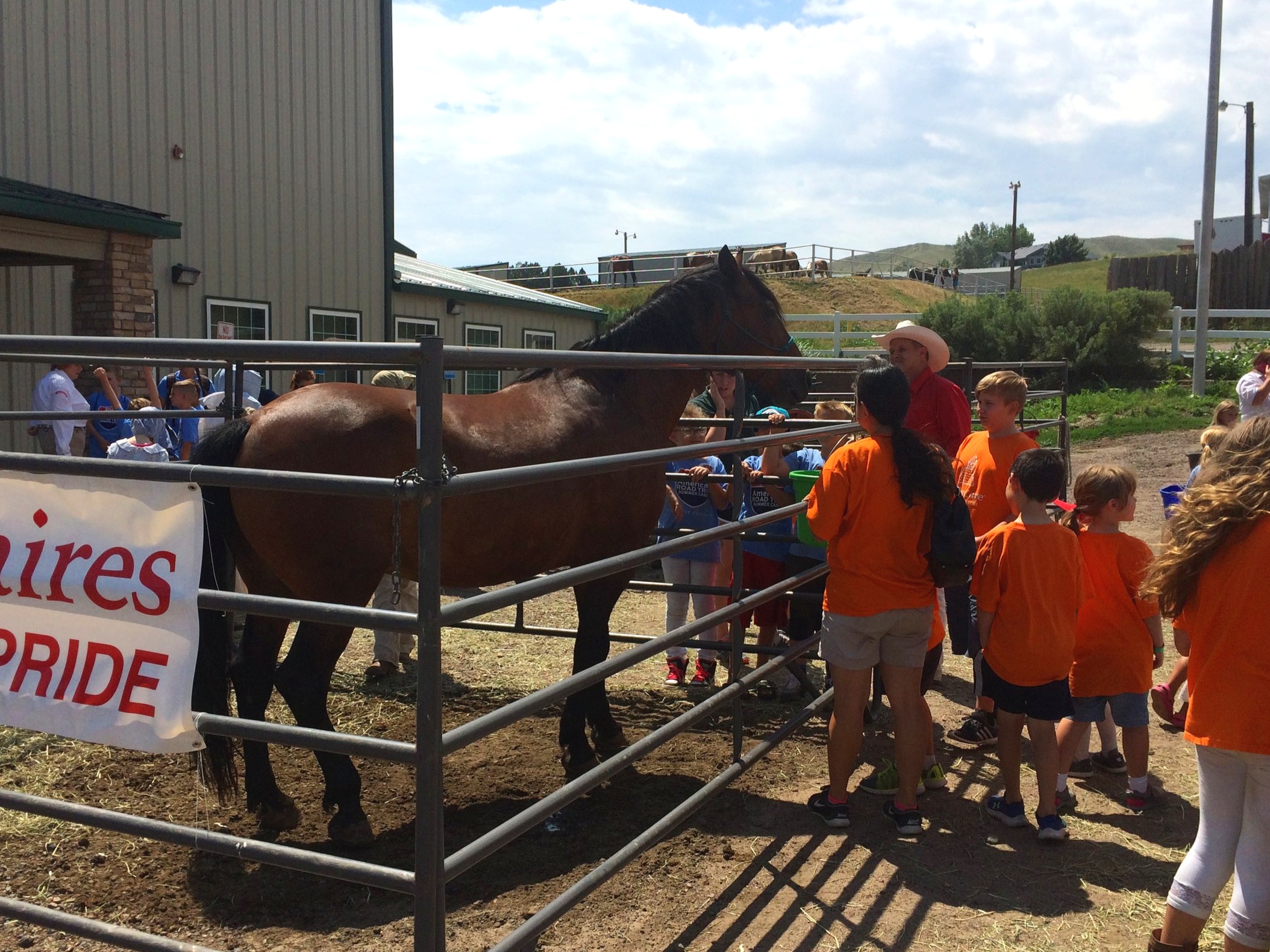 Kids pet a horse at a petting zoo