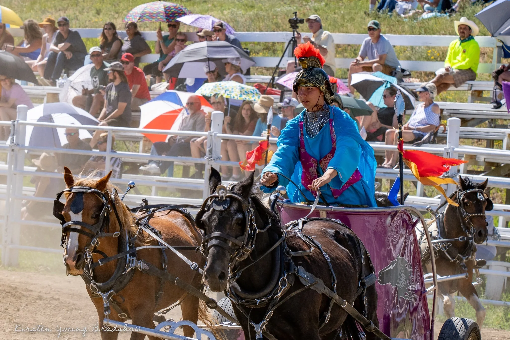 Evergreen Show 2022 Chariots 4.jpg