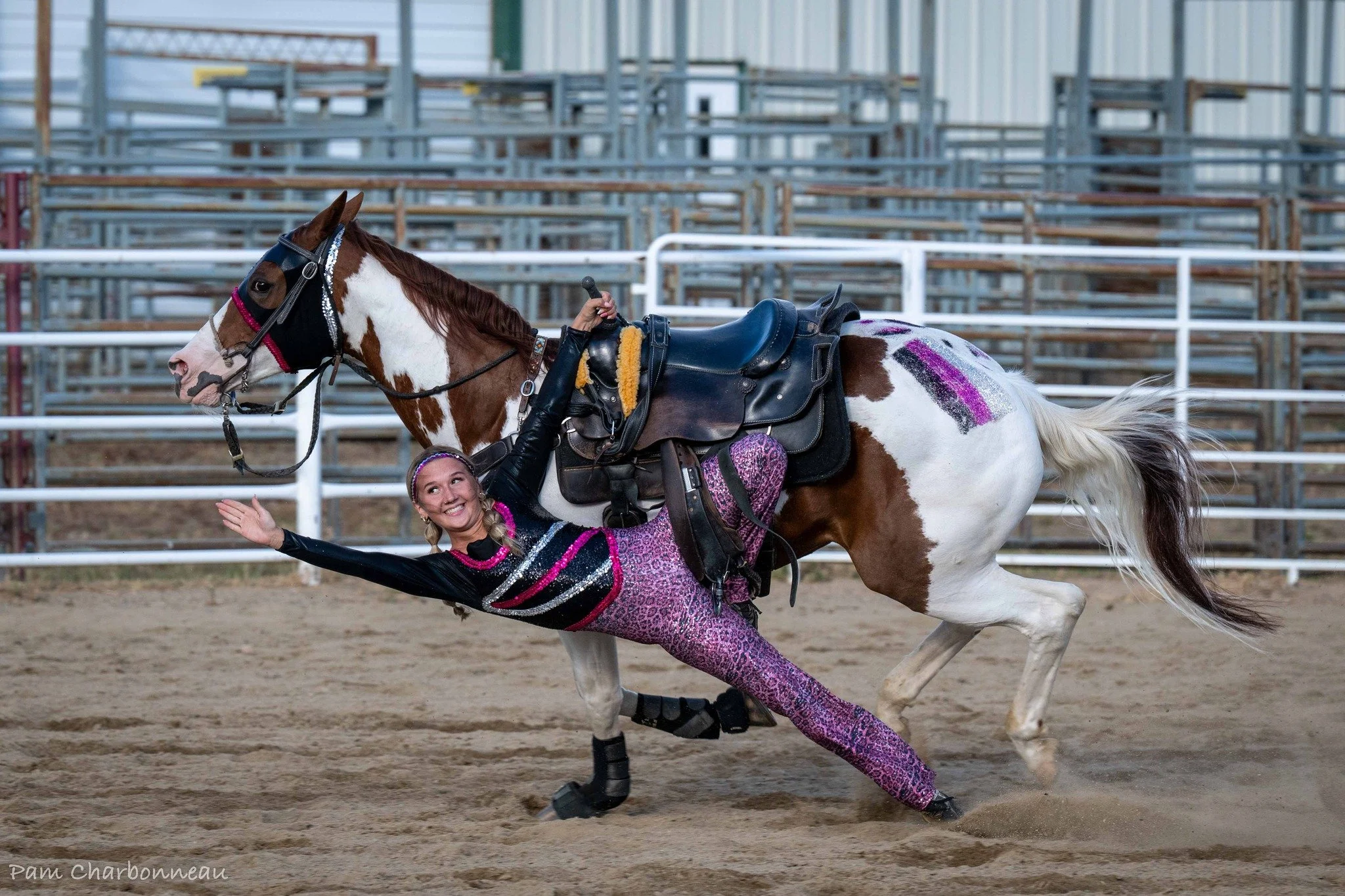 White Division Olympics Specialty Teams Show 2026
