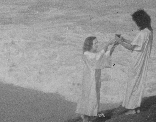 Elogio Ao Cinema Esquecido