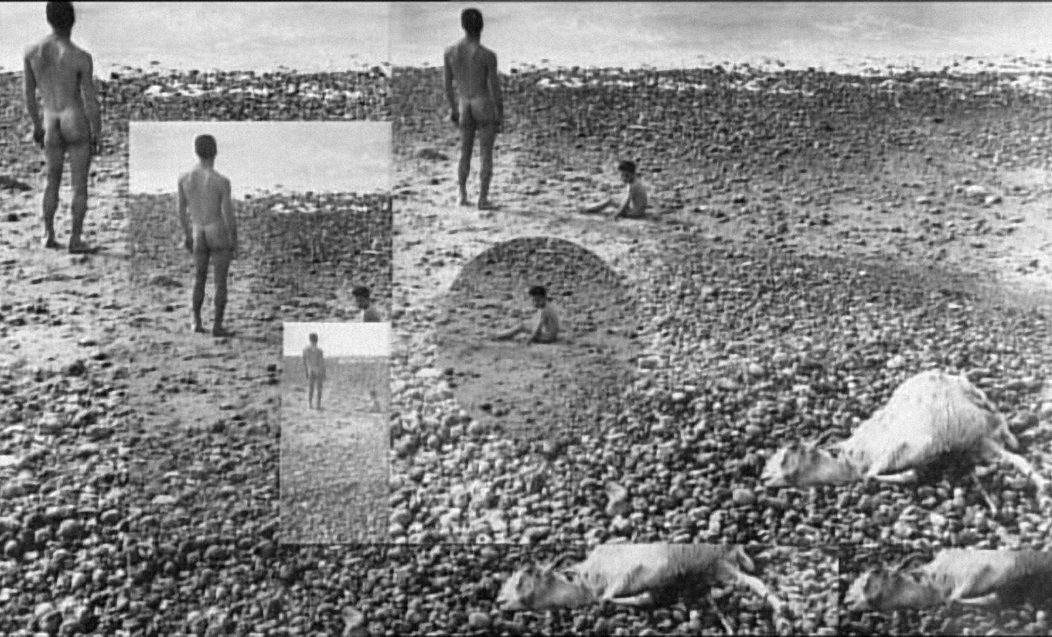 Artigo | Perseguir a circuitaria das imagens