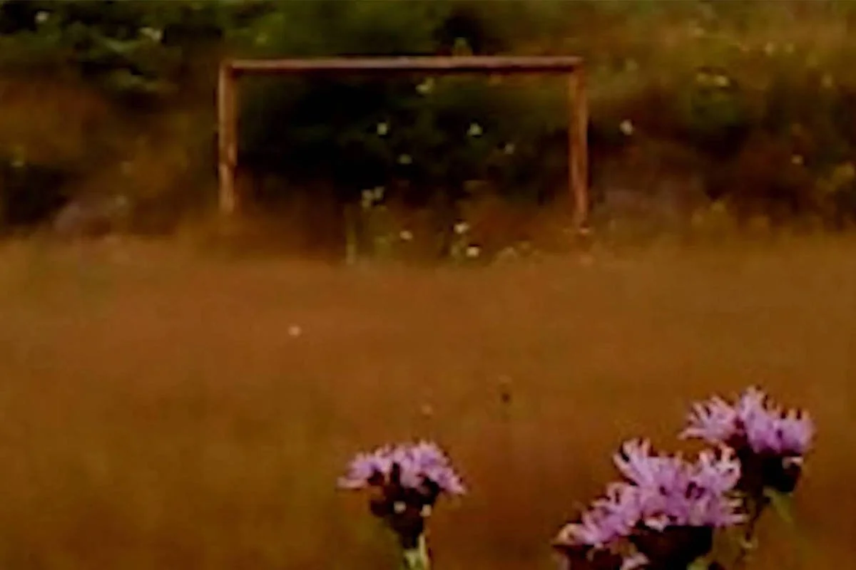 Crítica | Folha Seca (2025)