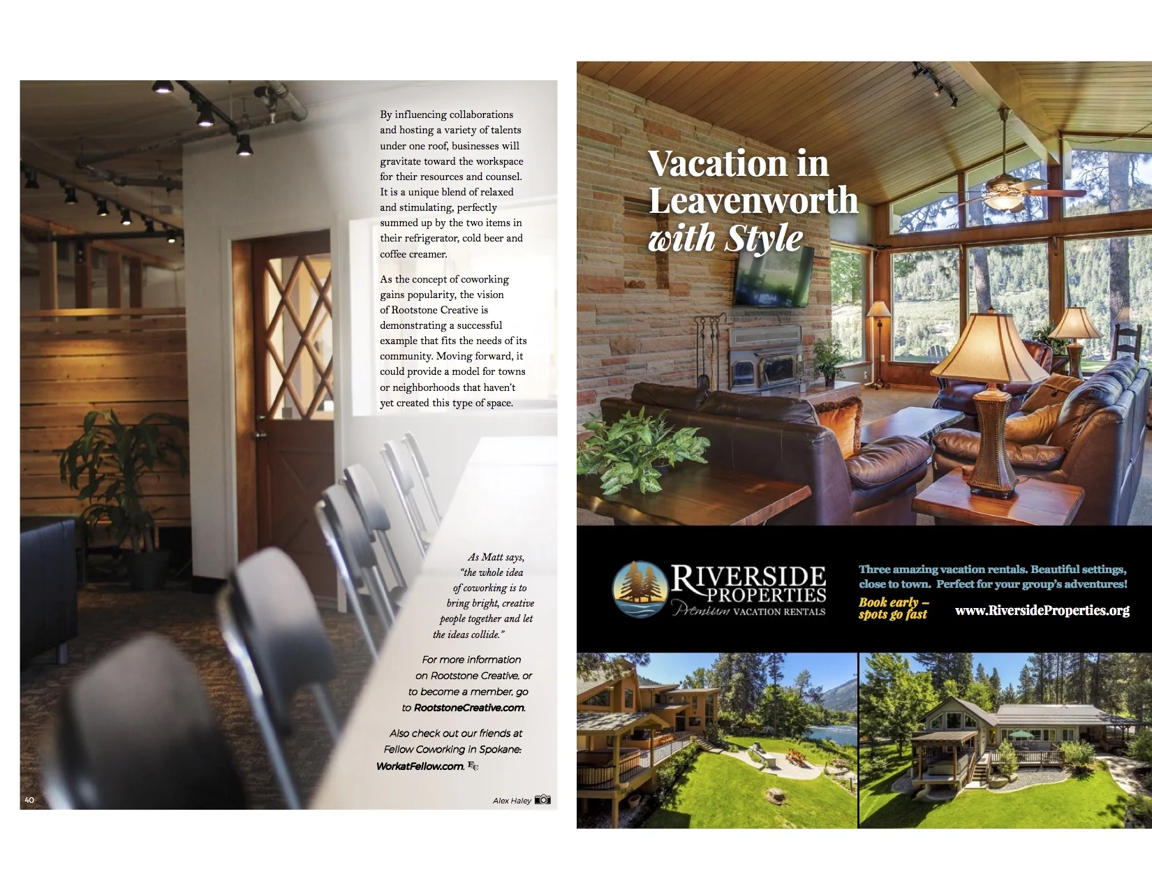 Rootstone Article 2.jpg