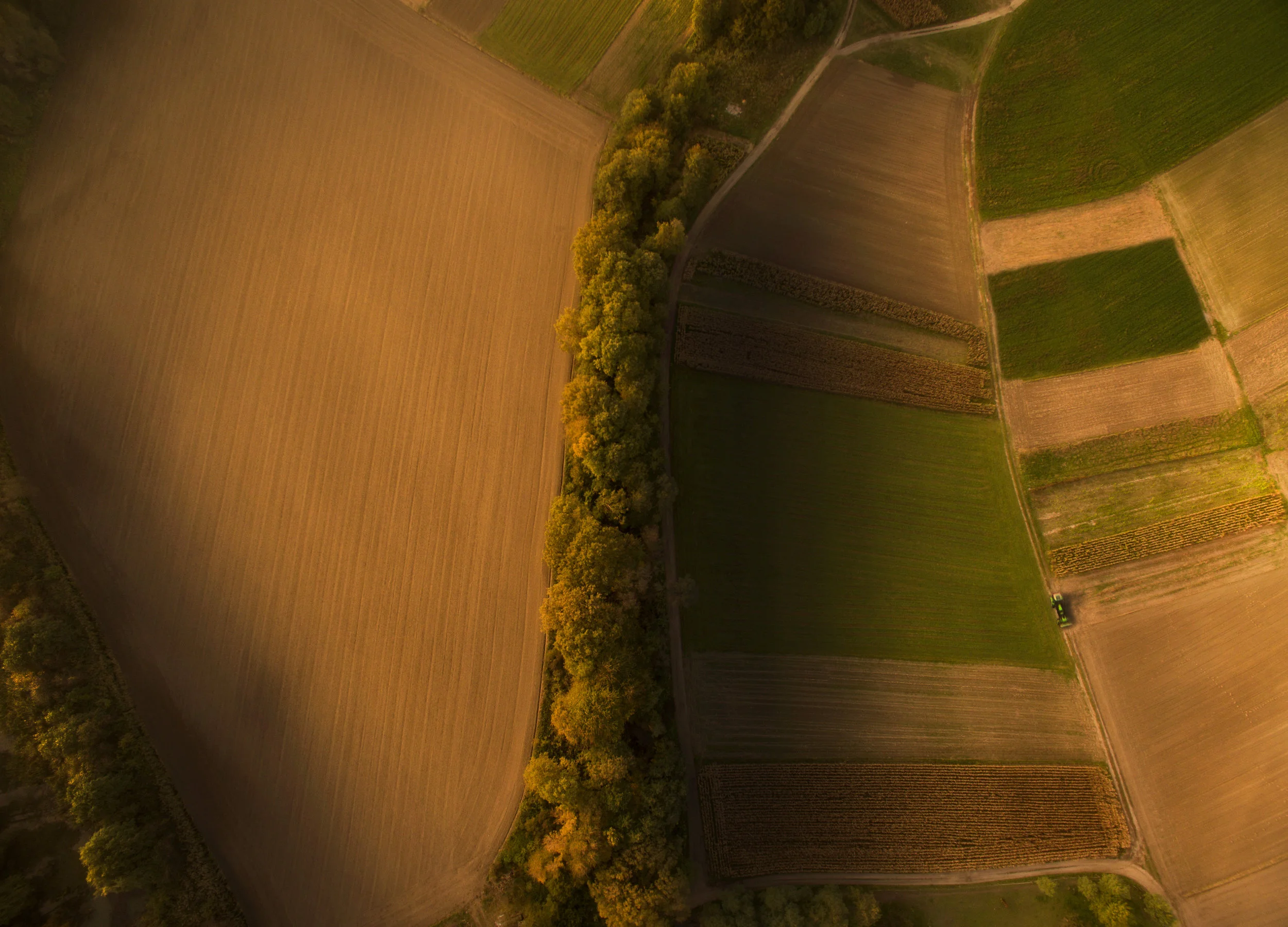 DJI_0008.jpg
