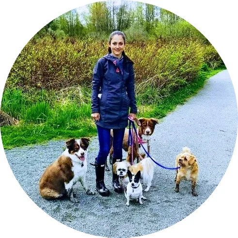 Tynehead+trail+dog+walk.jpg