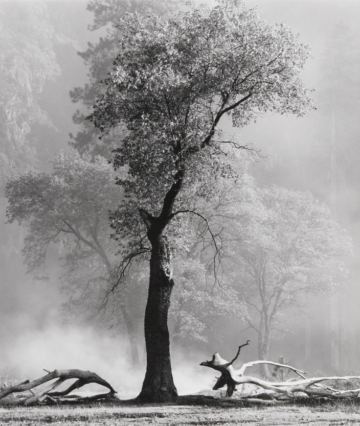 Controlled Burn & Dodge #2, Yosemite National Park, CA, 1999
