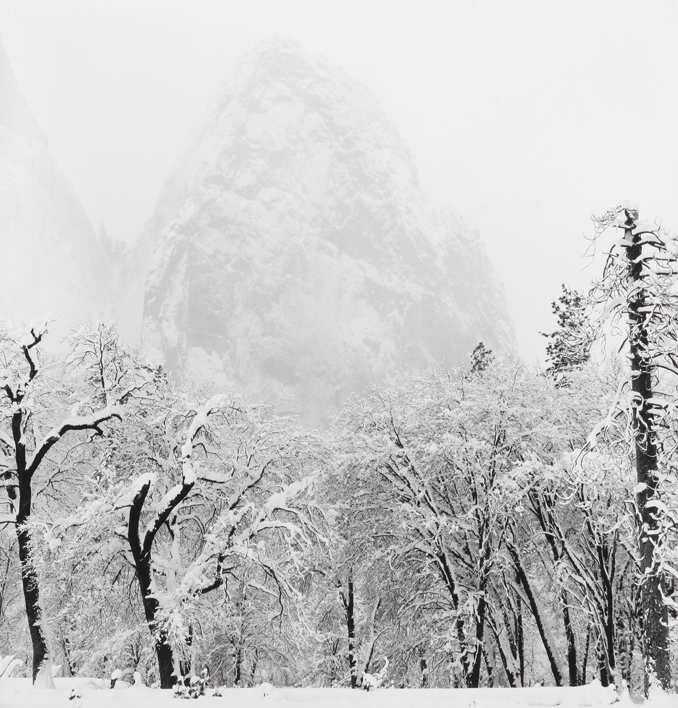 Snow Storm - El Cap Meadow, Yosemite National Park, CA, 2001