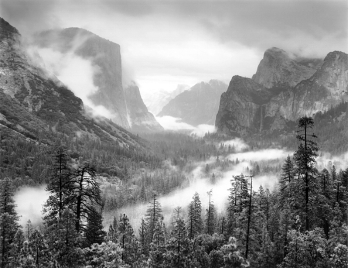 Spring Rain, Yosemite National Park, CA. 1972