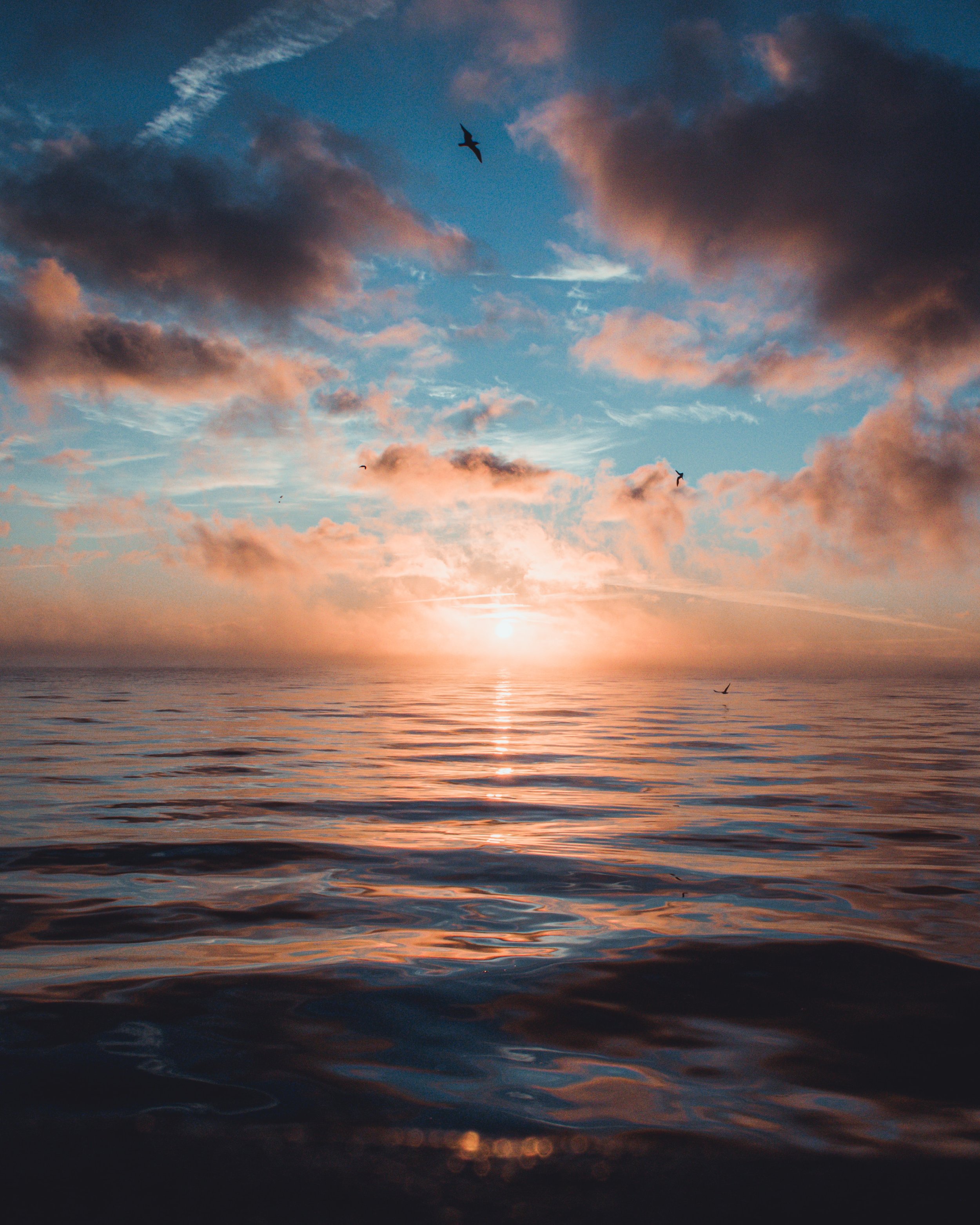 Joyful Effort Practice Group 