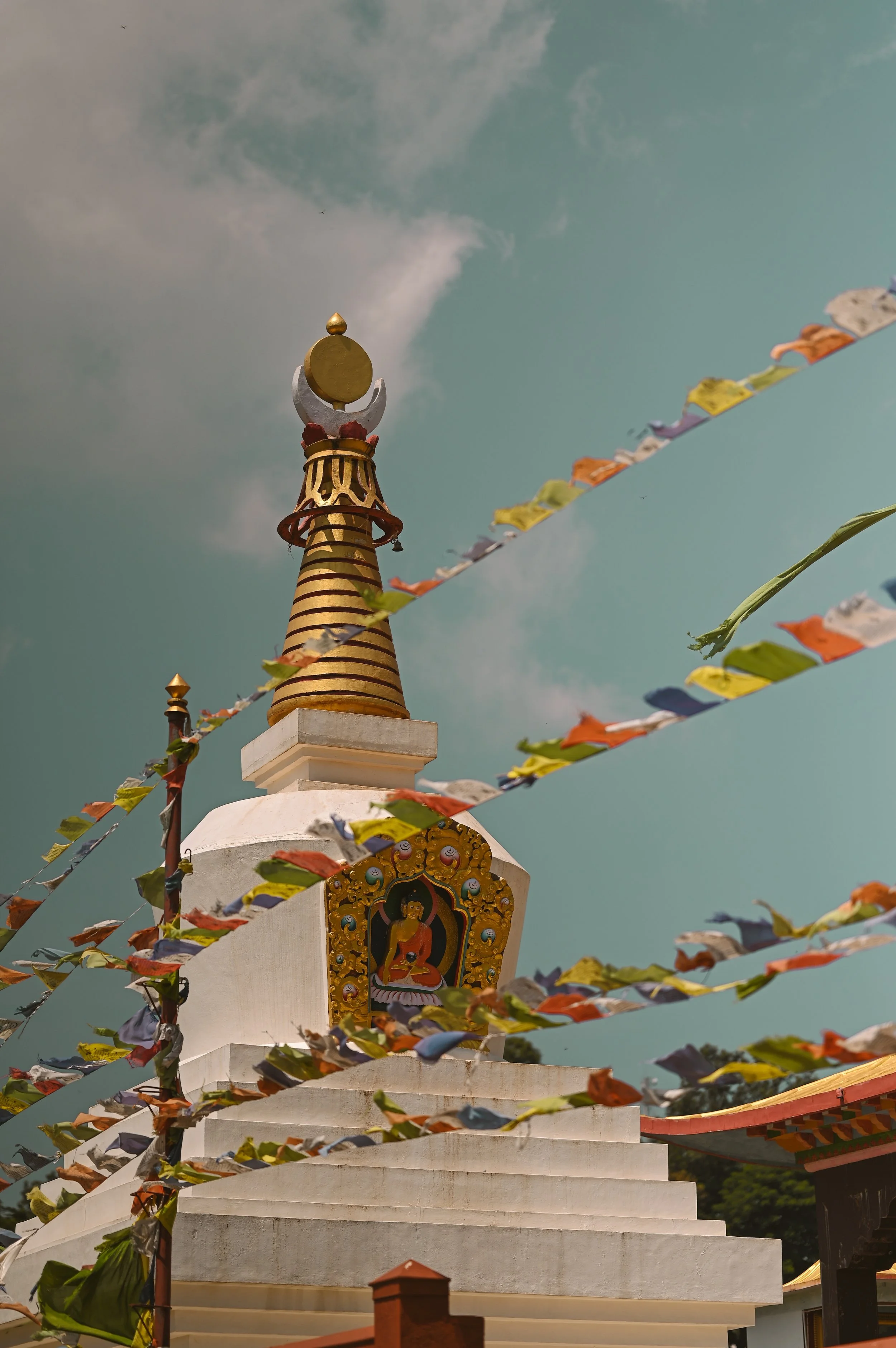 Thursday Evening Calm Abiding Meditation