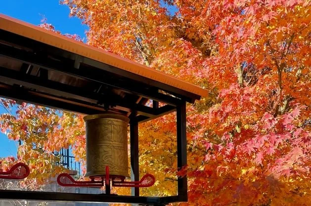 Welcome to Fall & Newcomers' Night, following Calm Abiding Meditation