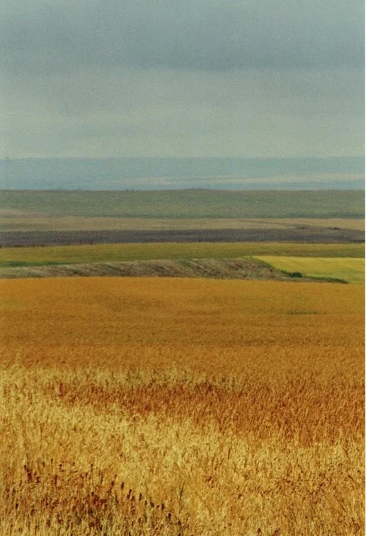 Prairie Vista