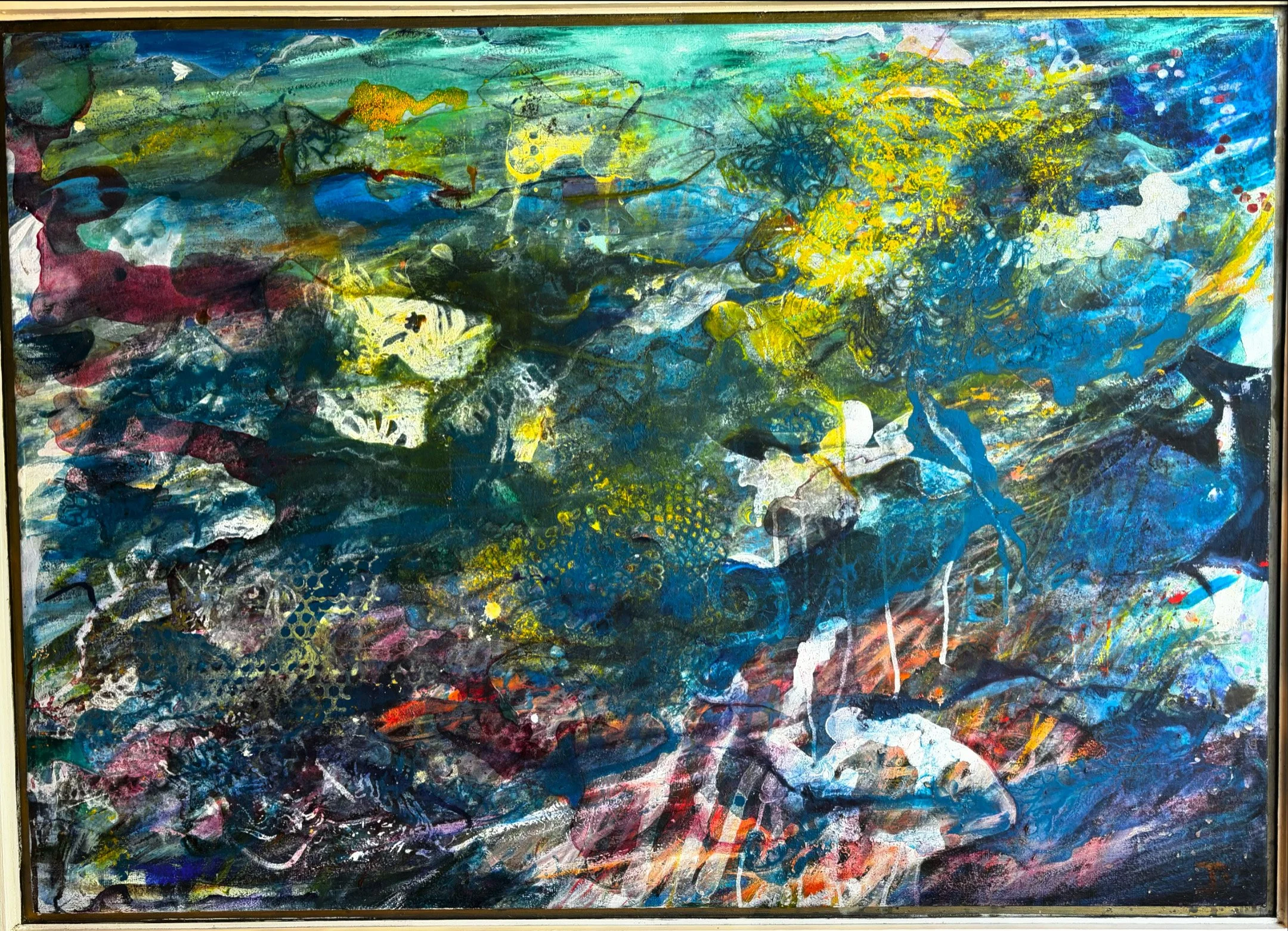 The Mesopelagic Zone