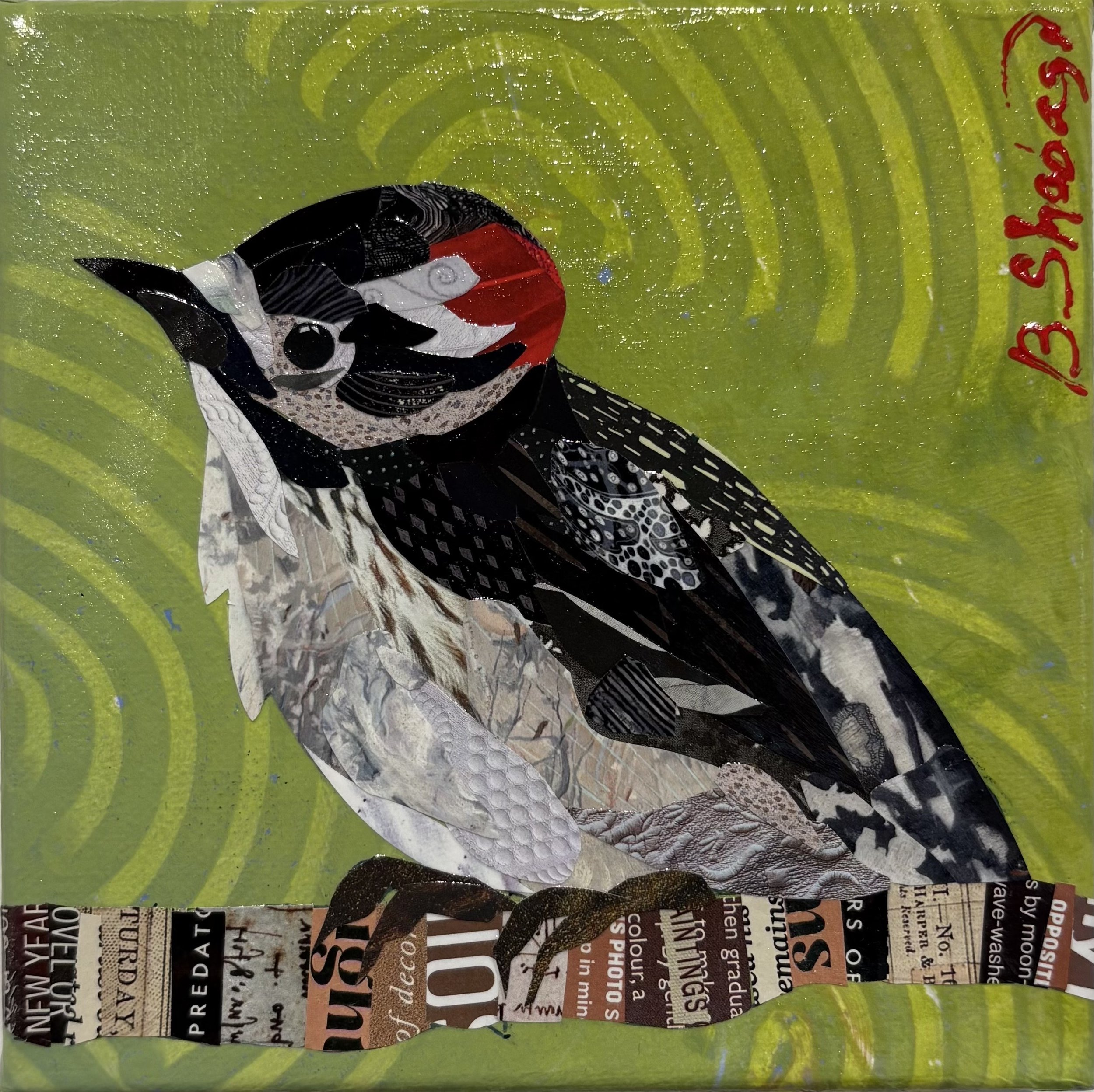 DOWNY WOODPECKER
