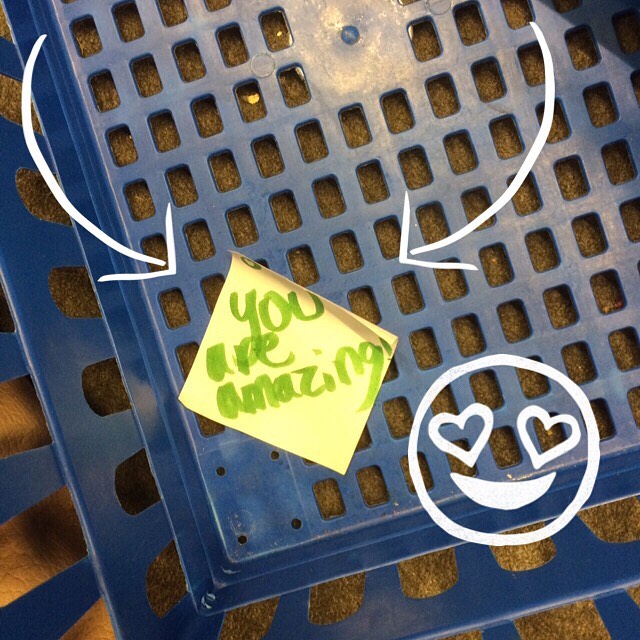 When your shopping basket has good vibes, you know it’s going to be a #greatday. 😃😊🙌🏻❤️#mondaymotivation #goodmorning #summergram #greatday #bossbabe #bosslady #copperwoodcreates