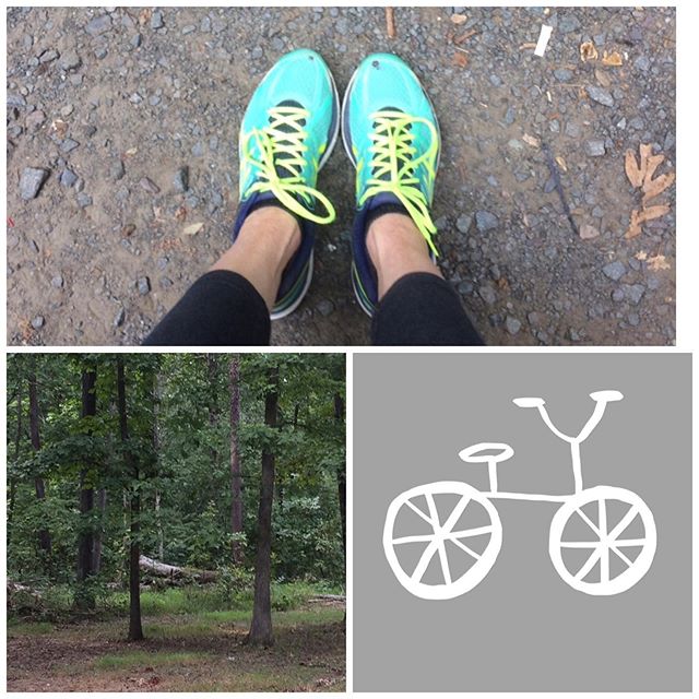 Sunday coming in like...😃🤗🌳🍂🍁🌾🚵🏻♂️ #sundayfunday #weekend #nationalforest #writersofinstagram #writer #bossbabes #bosslady #falliscoming #copperwoodcreates