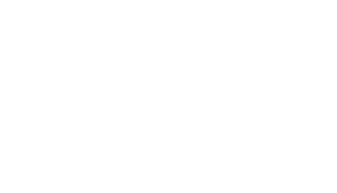 Asset 1.png