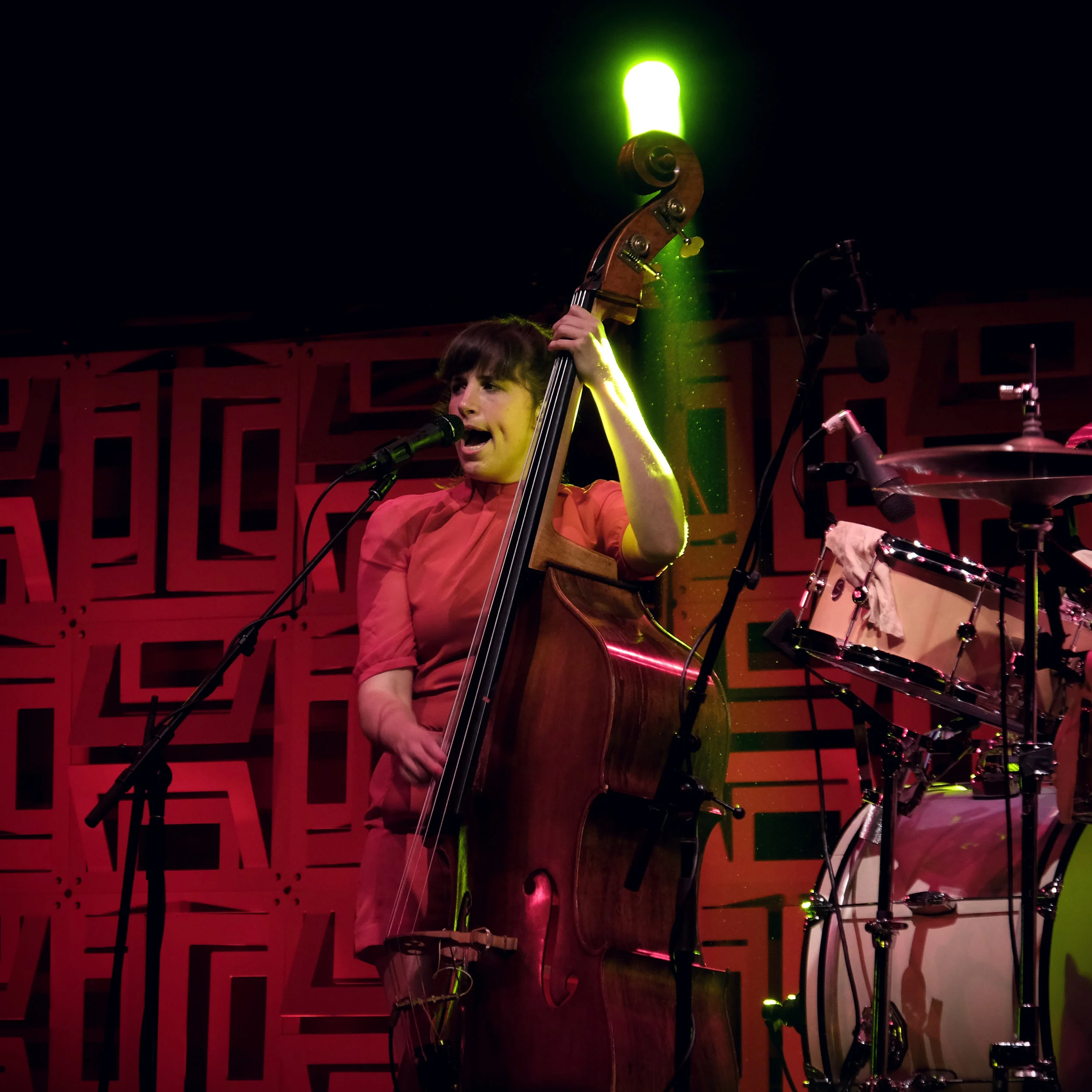 DSCF7774.jpg