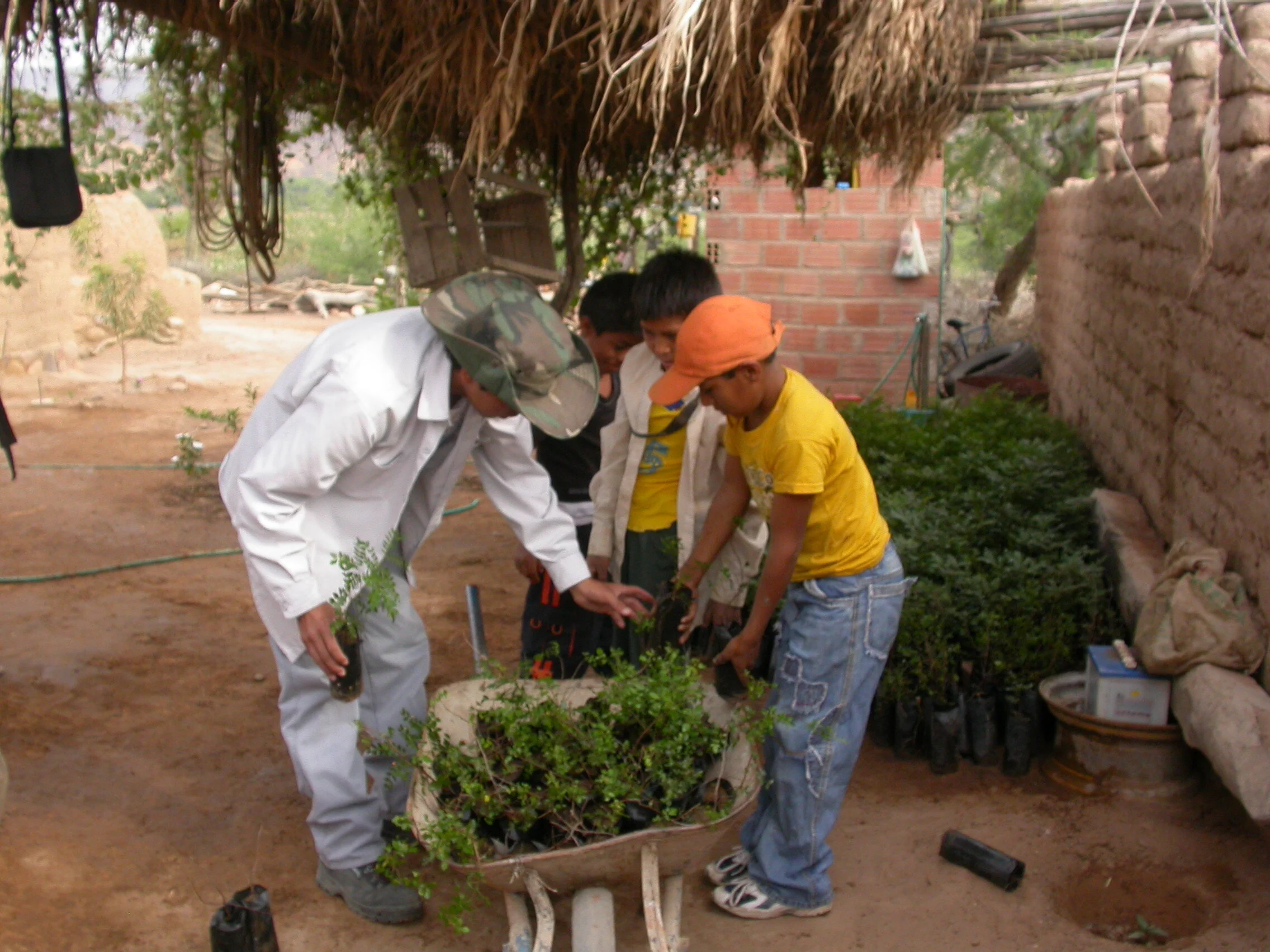 Restoration Image (1).jpeg