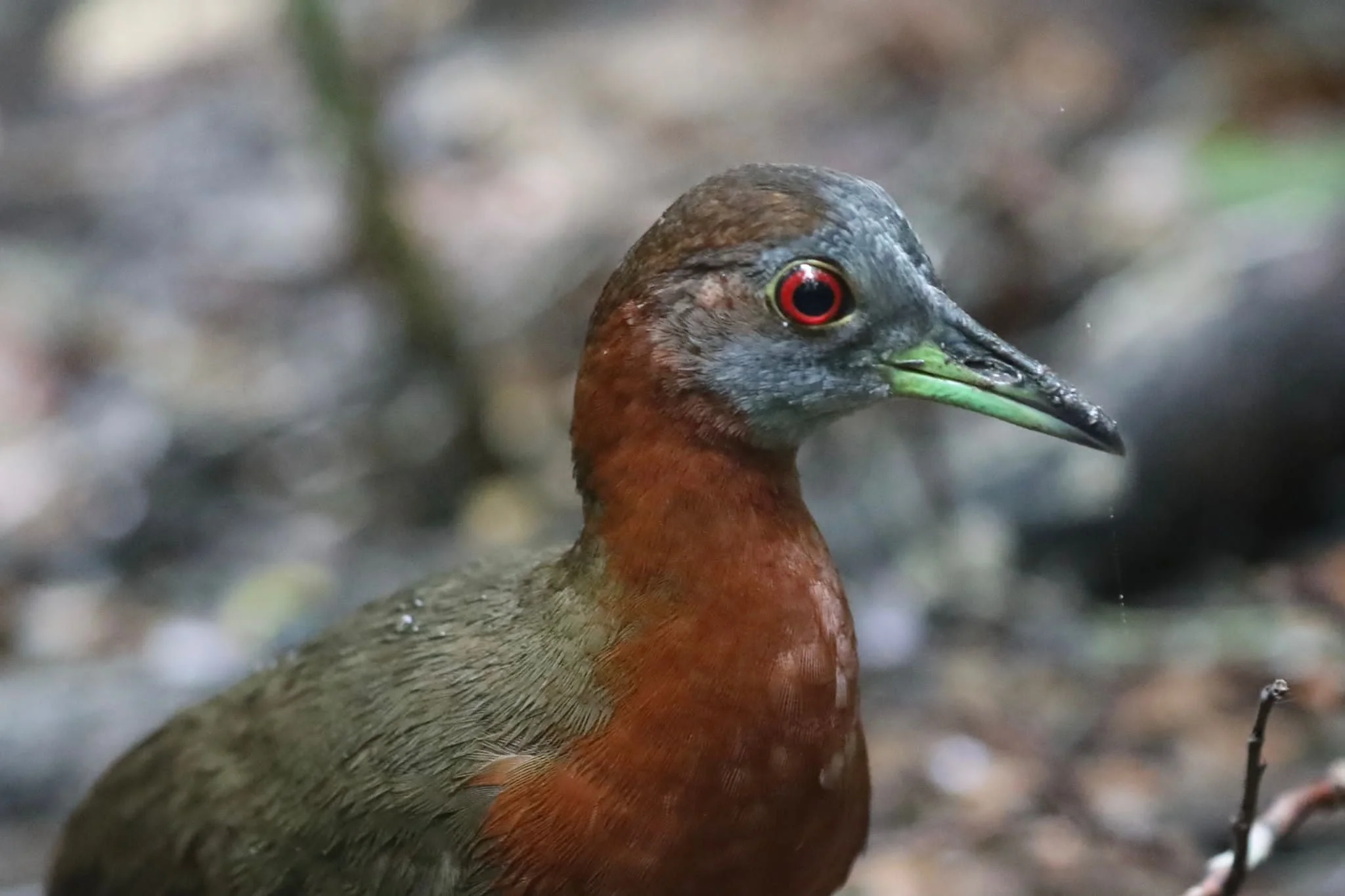 WhatsApp Image 2025-12-04 at 13.07.13 (1).jpeg