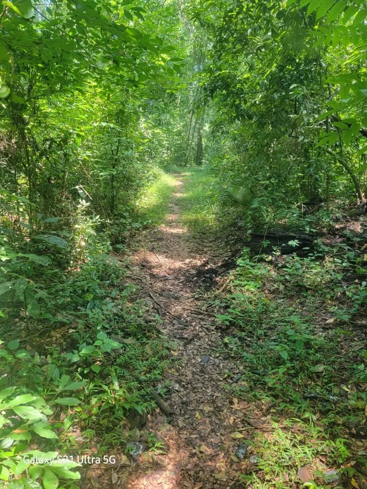 WhatsApp Image 2025-12-04 at 13.07.15.jpeg