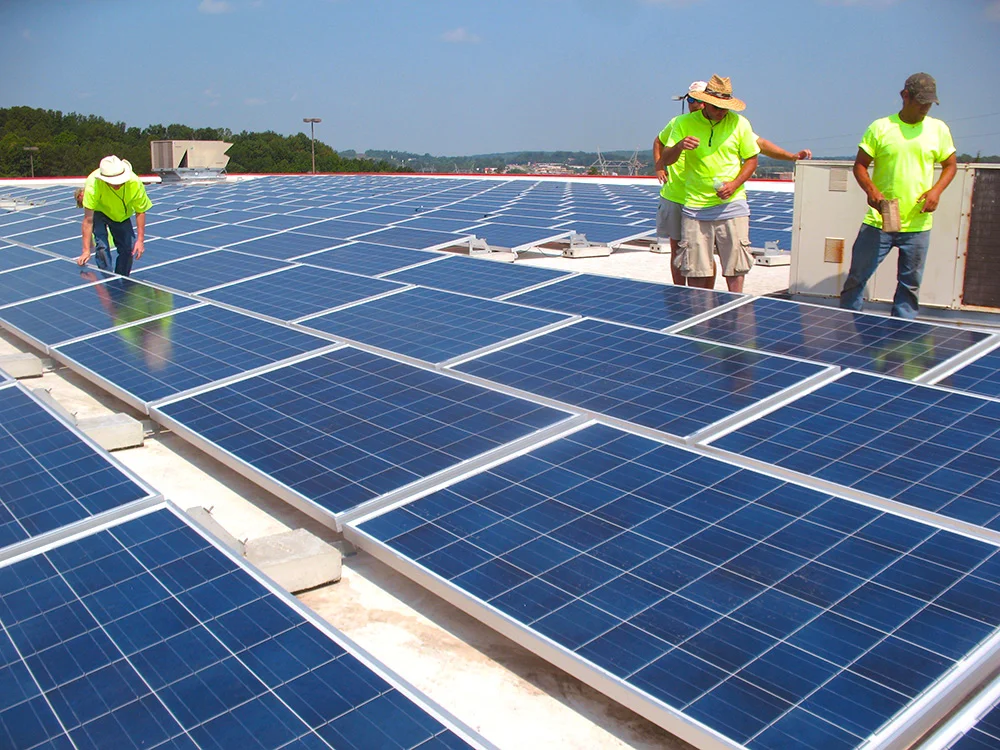 PH 02 _ 0004 _ ARRAY PROGRESS.JPG