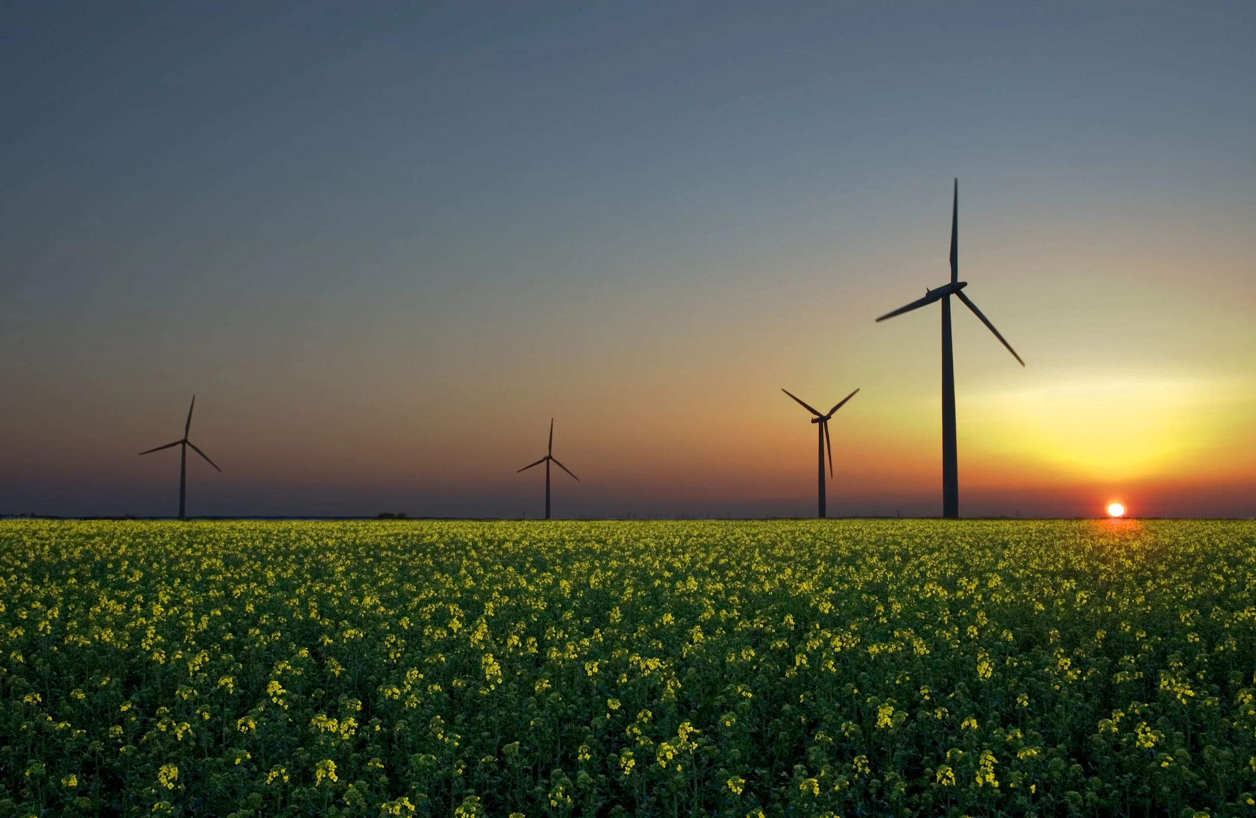 RR Randlett Renewables website cover.jpg