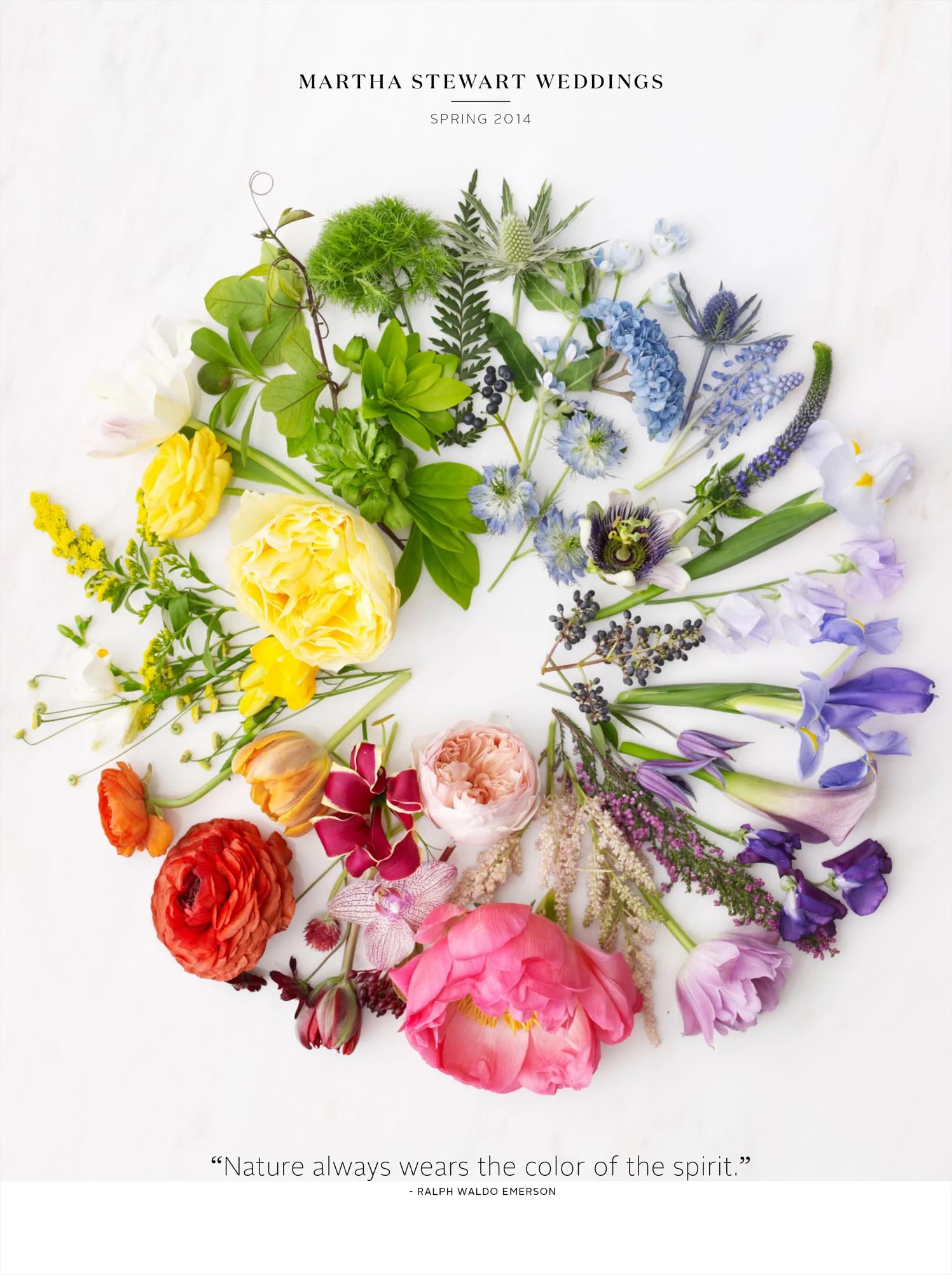 Martha Stewart Weddings In Living Color