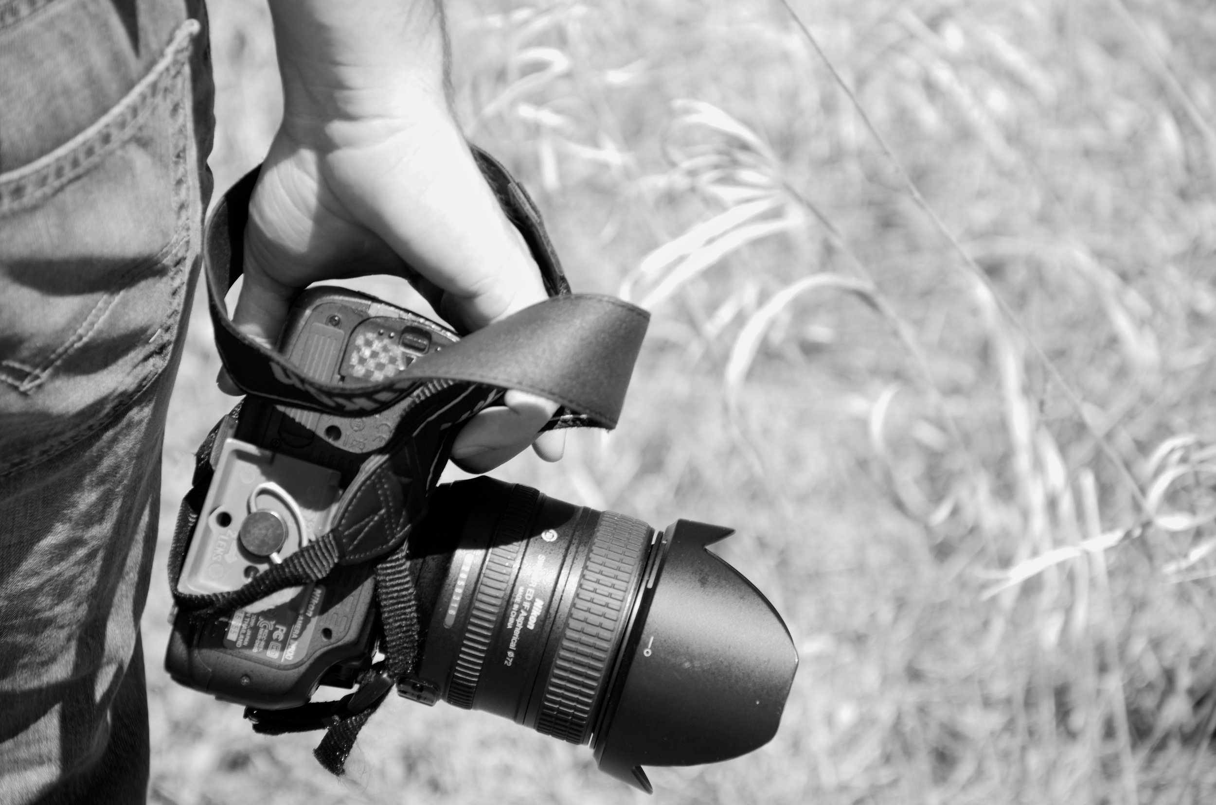 Do what you LOVE