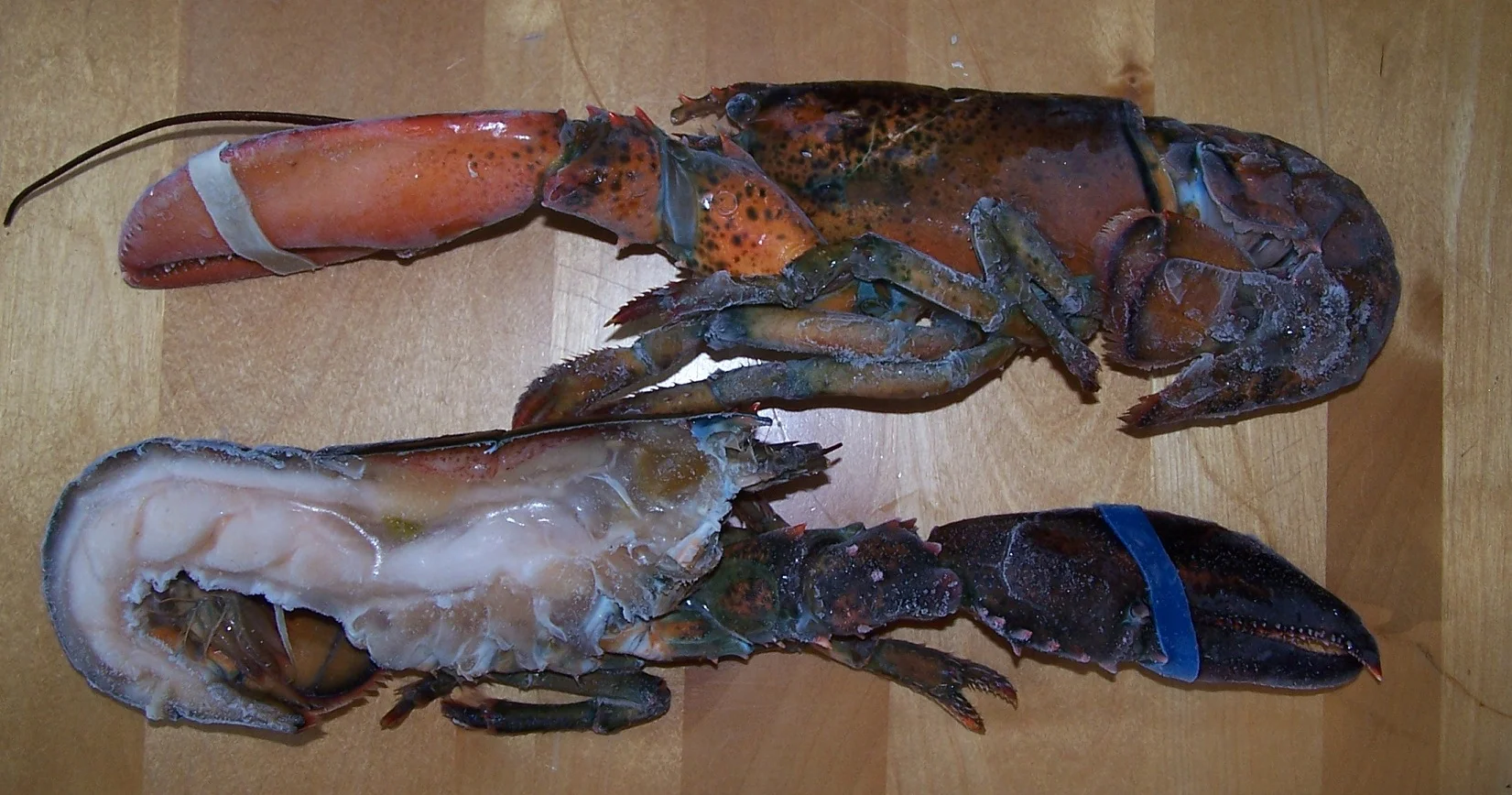 Maine_Lobster_2016-02-24_Recipes_Selects_020.jpg