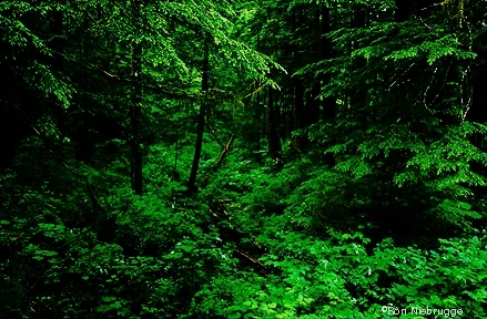 f83726a7b65a66bd84f9e23622235f3a.jpg
