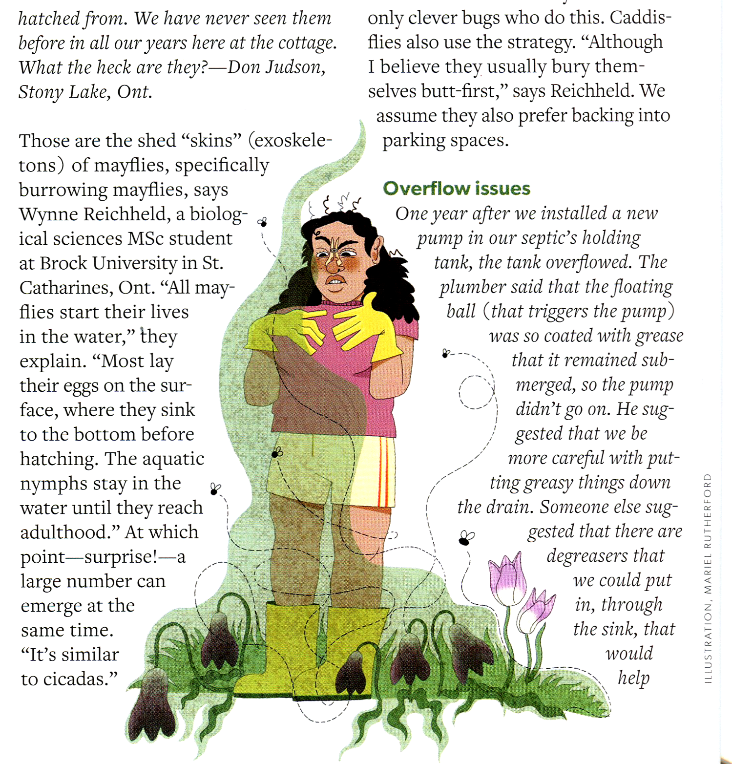 Mariel Cottage Life Scan_02.png