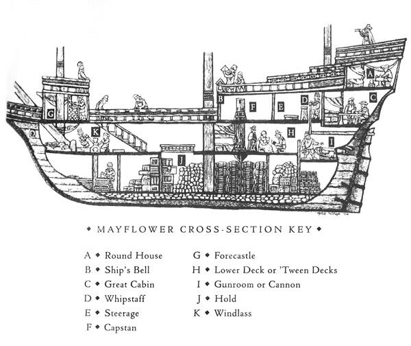 Mayflower-CrossSection.jpeg