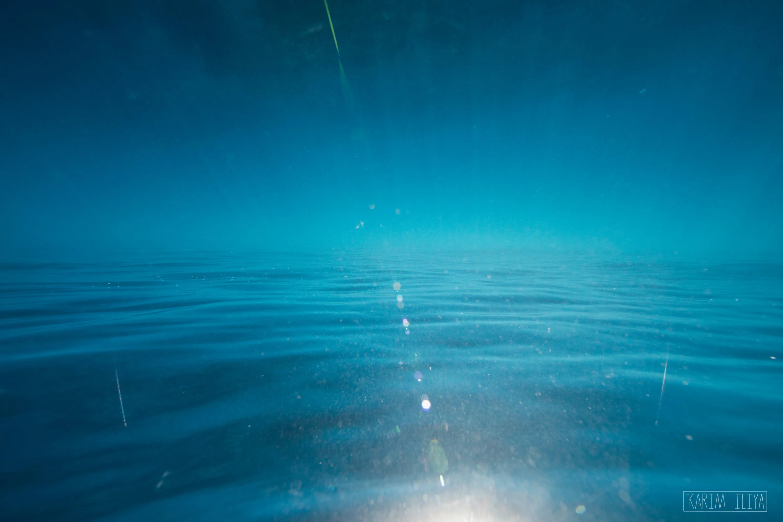 KARIM_ILIYA_PHOTOGRAPHY_HAWAII_WHALE_UNDERWATER_HUMPBACK_TURTLE_OCEAN21.jpg