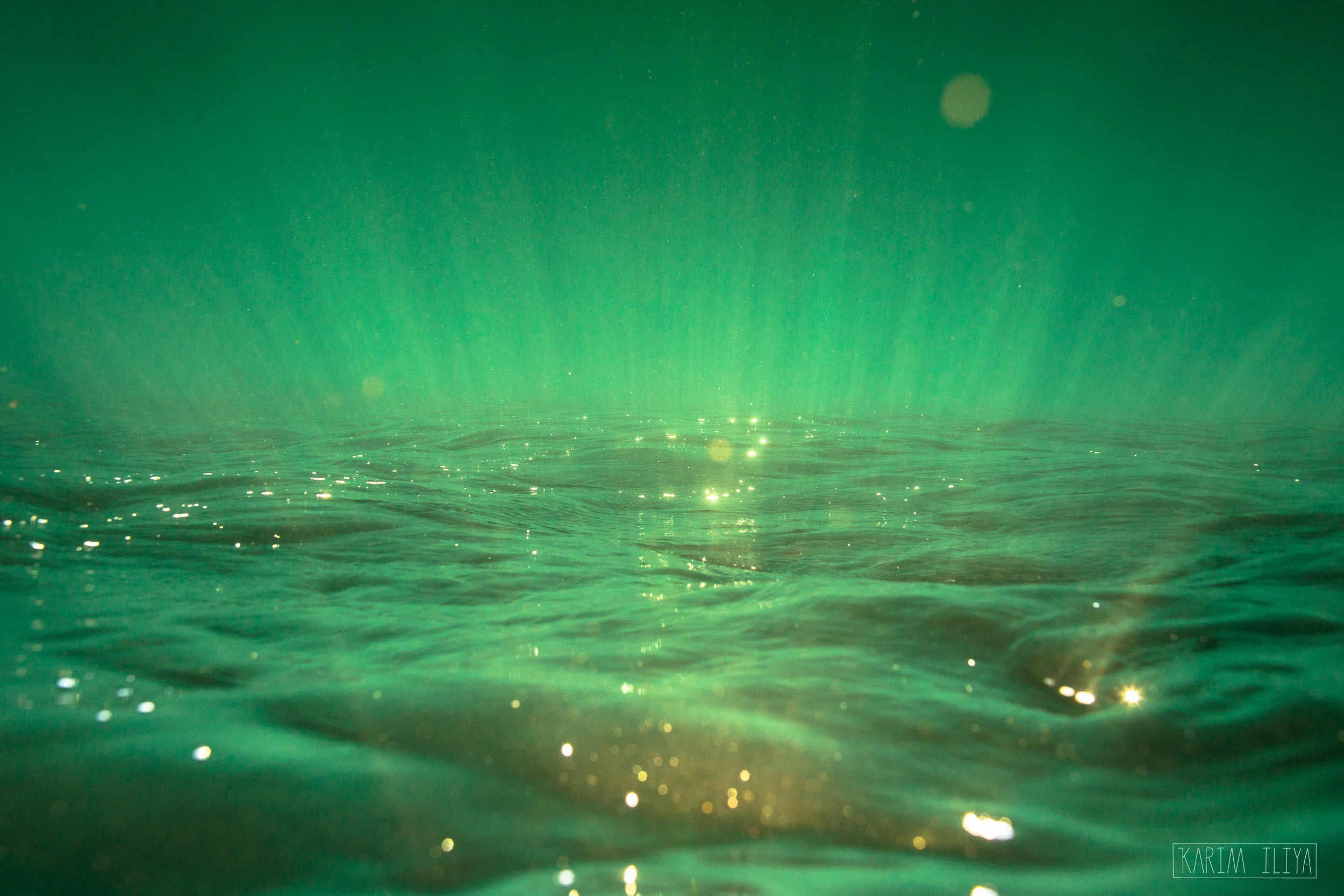 KARIM_ILIYA_PHOTOGRAPHY_HAWAII_WHALE_UNDERWATER_HUMPBACK_TURTLE_OCEAN10.jpg